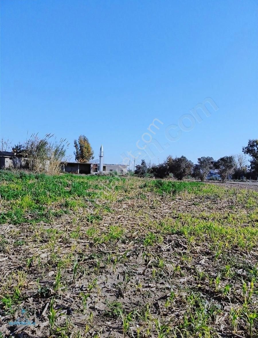 Karataş Tuzla Yolu Üzerin'de 6.000.m2 Satılık Arsa....... - Görsel 5