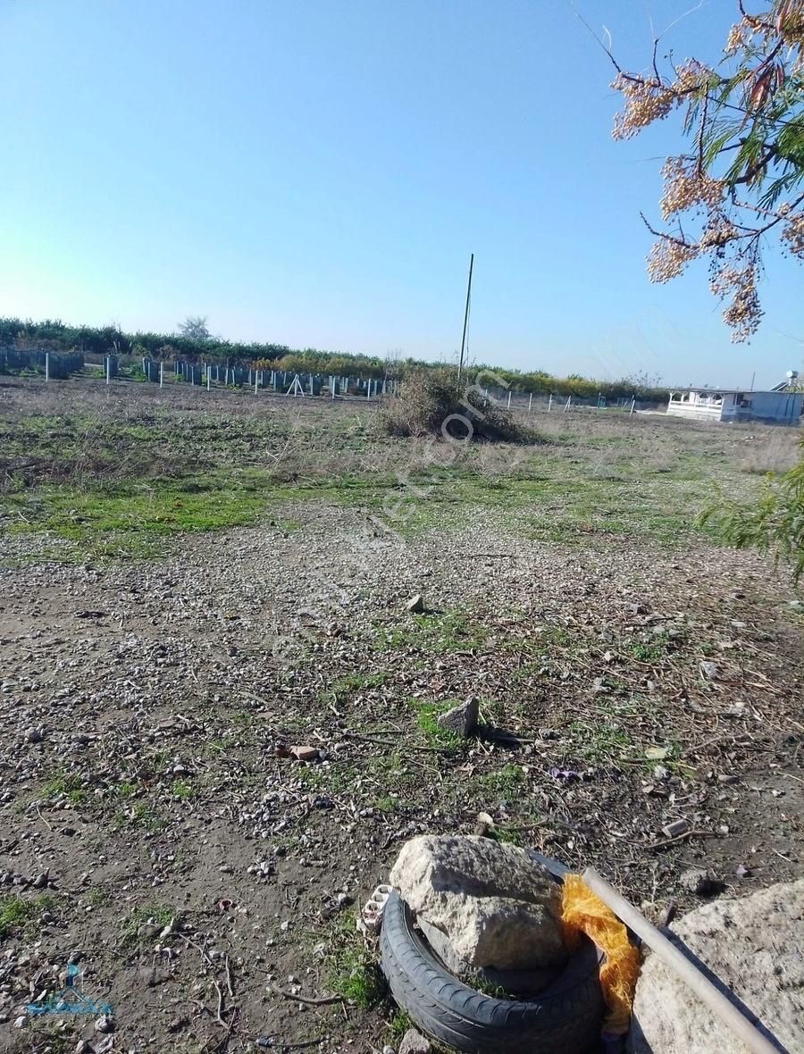Karataş Tuzla Yolu Üzerin'de 6.000.m2 Satılık Arsa....... - Görsel 10