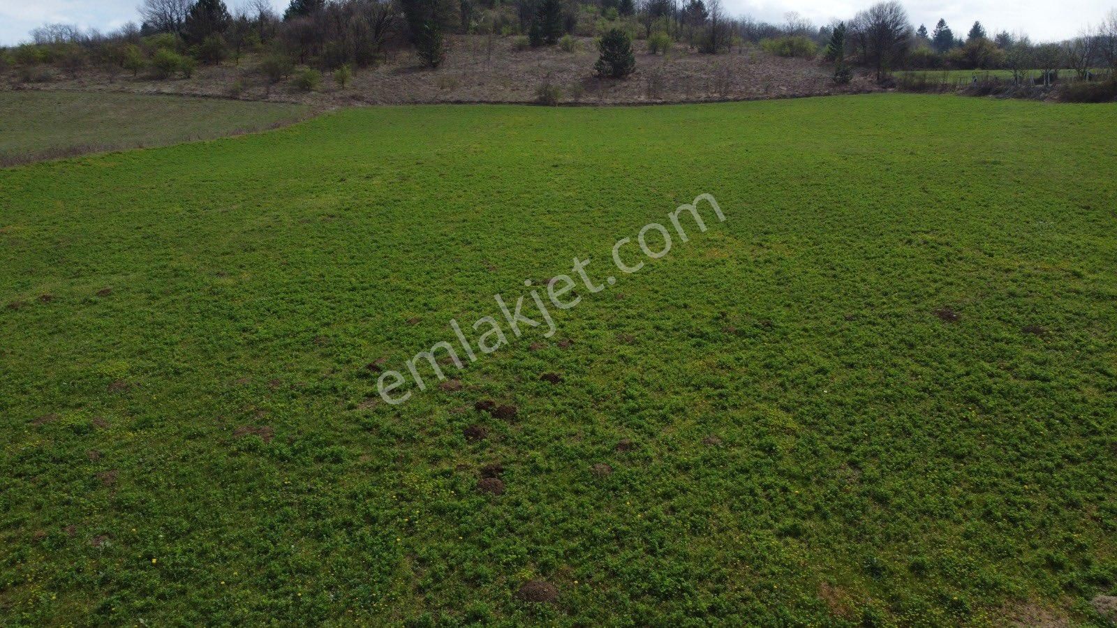 Satılık Tarla İnegöl Hayriye Mah - Görsel 5