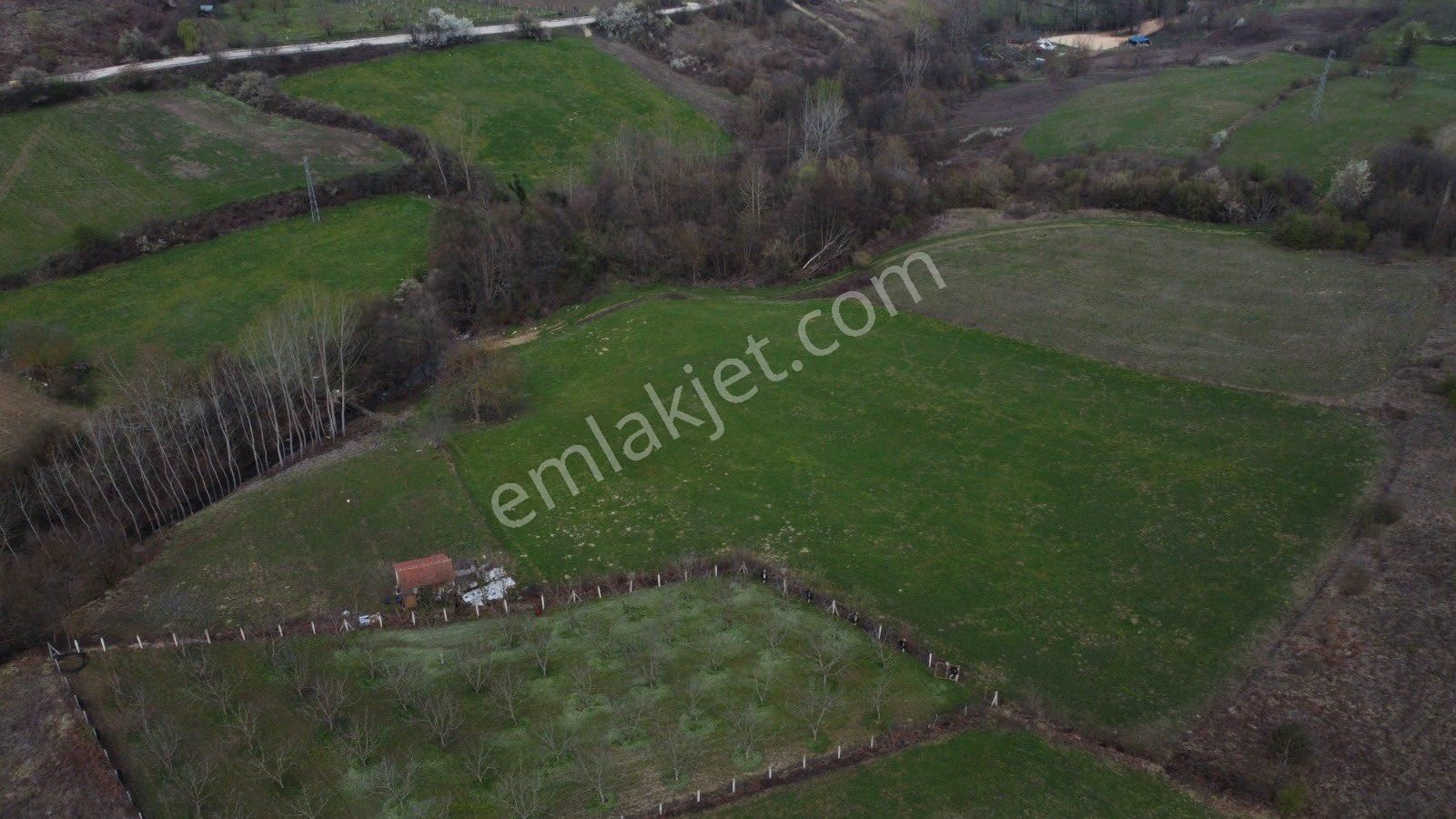 Satılık Tarla İnegöl Hayriye Mah - Görsel 3