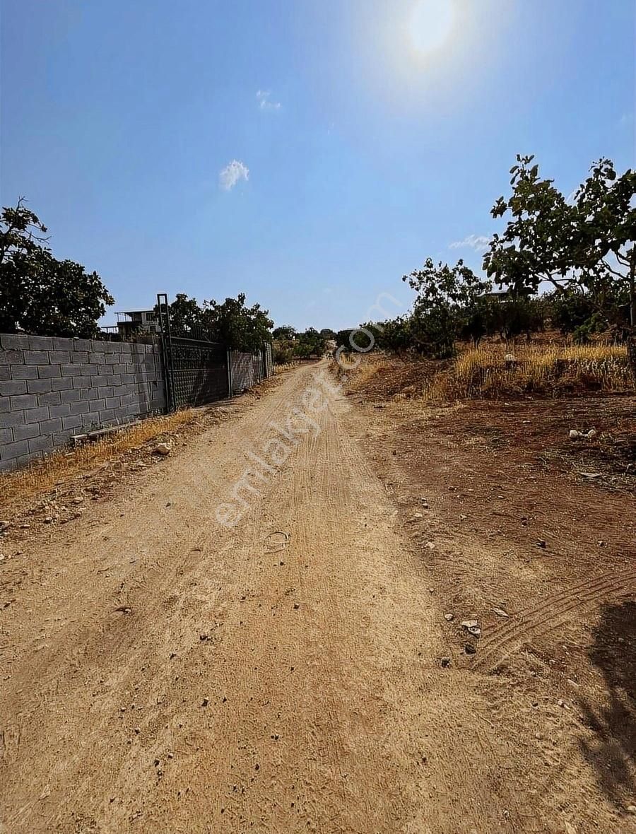 Oğuzeli Gürsuda Resmi Yol Üzeri Bağ Evlerinin Arasında Tek Tapu - Görsel 13