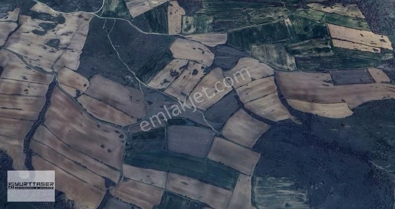 Kırklareli Yoğuntaş'ta 22782m2 Baraj Yakını Müstakil Parsel