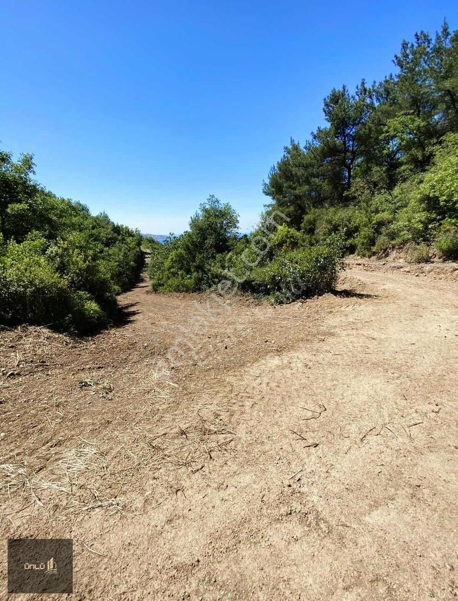 Mudanya Altıntaş Mah Satılık Tarla Full Deniz Manzaralı - Görsel 3