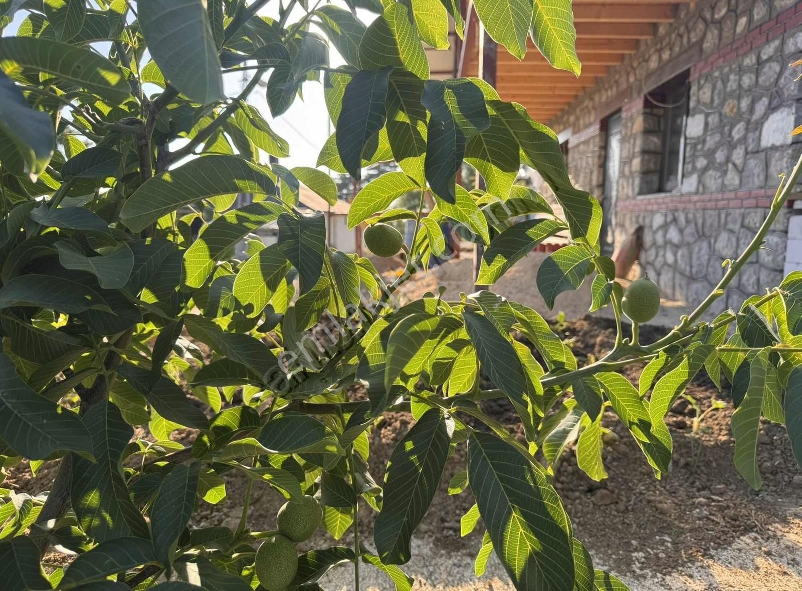 Karakaş Bey Gayrimenkul'den Uludağ Oturuma Hazır Ev Ve Arazi - Görsel 18