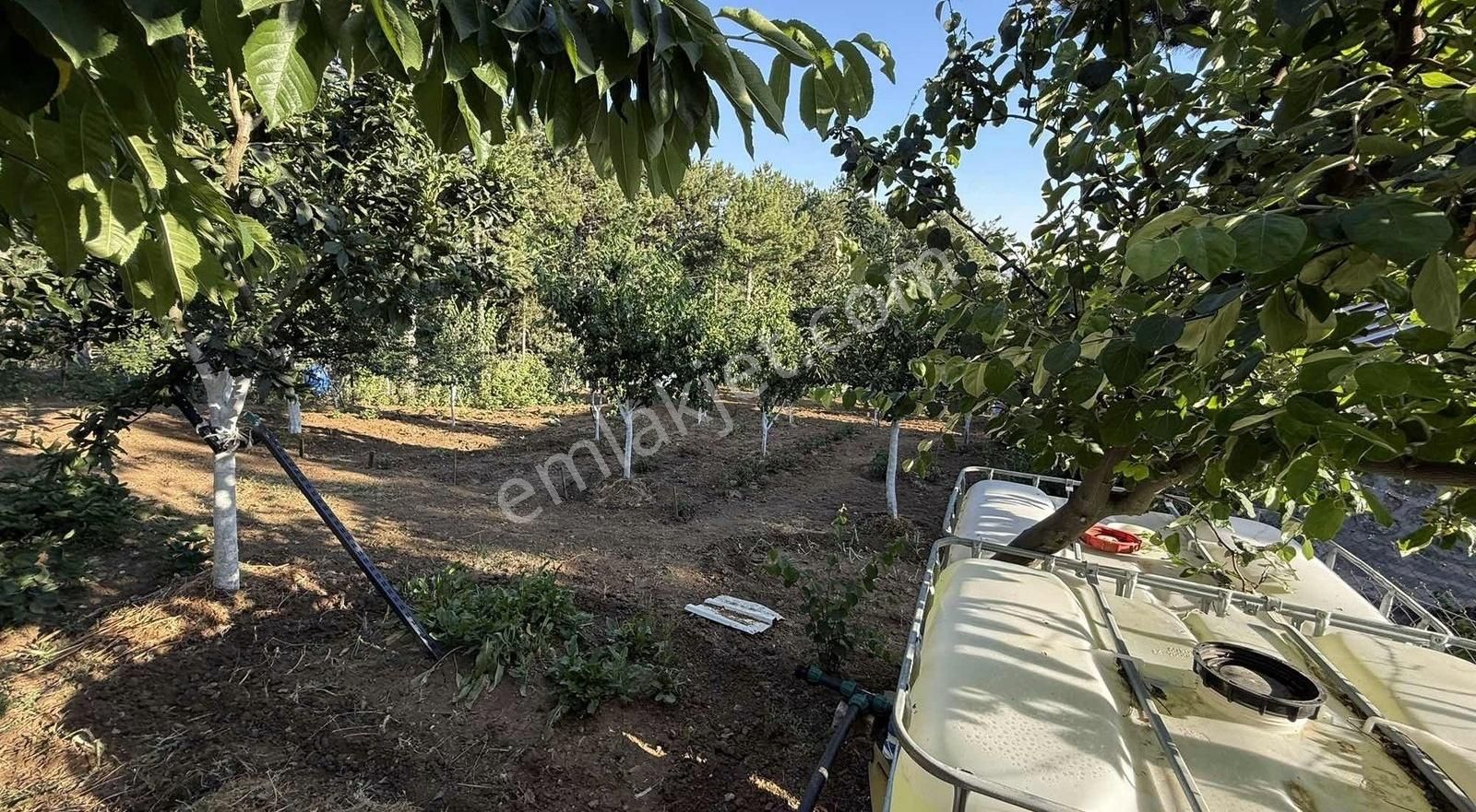 Karakaş Bey Gayrimenkul'den Uludağ Oturuma Hazır Ev Ve Arazi - Görsel 12