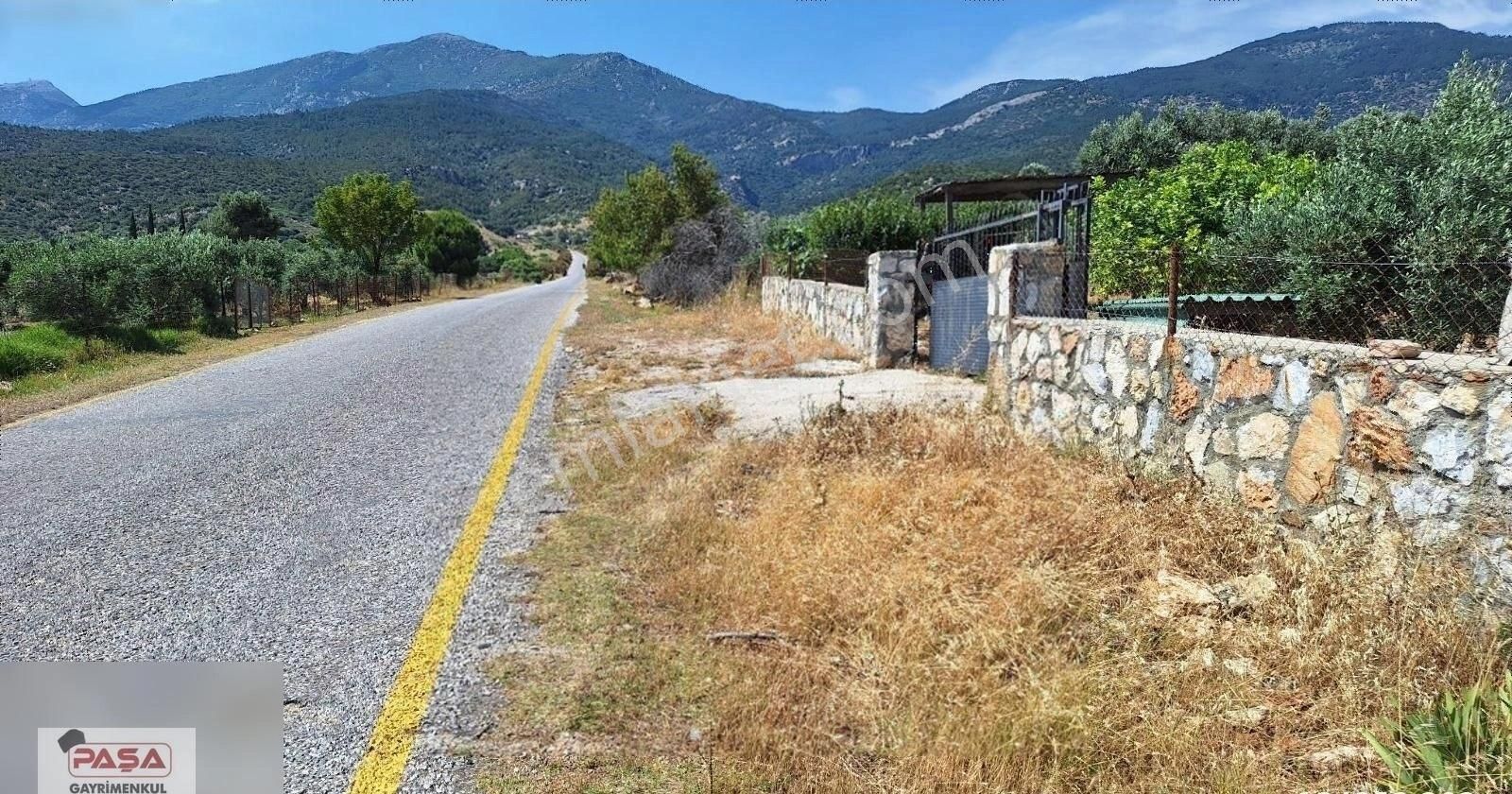 Söke De Satılık Doğanbey De Yola Sıfır Zeytınlık - Görsel 12