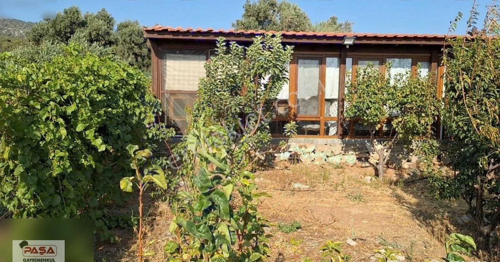 Söke De Satılık Doğanbey De Yola Sıfır Zeytınlık - Görsel 2