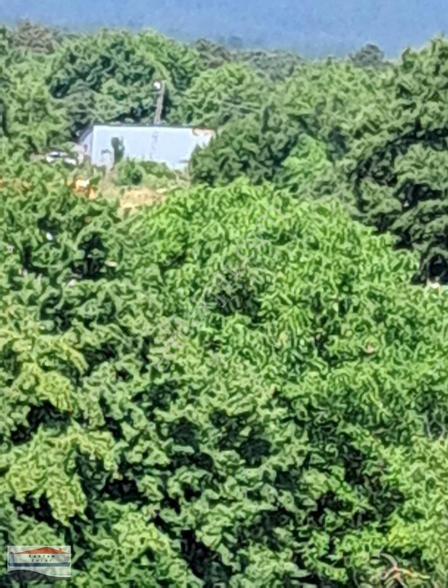 Çanakkale Yenice Kazdağının Eteğinde Satılık 271 M2 Köşe Arsa - Görsel 4