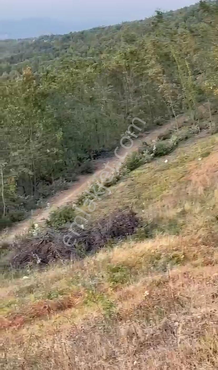 İsminar Yılmaz Dan Nilüfer İlçesi Ayva Köyünde Satılık Tarlalar - Görsel 15