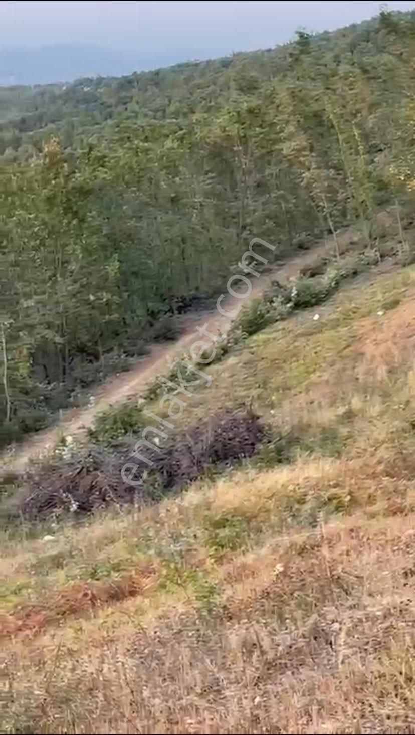 İsminar Yılmaz Dan Nilüfer İlçesi Ayva Köyünde Satılık Tarlalar - Görsel 11