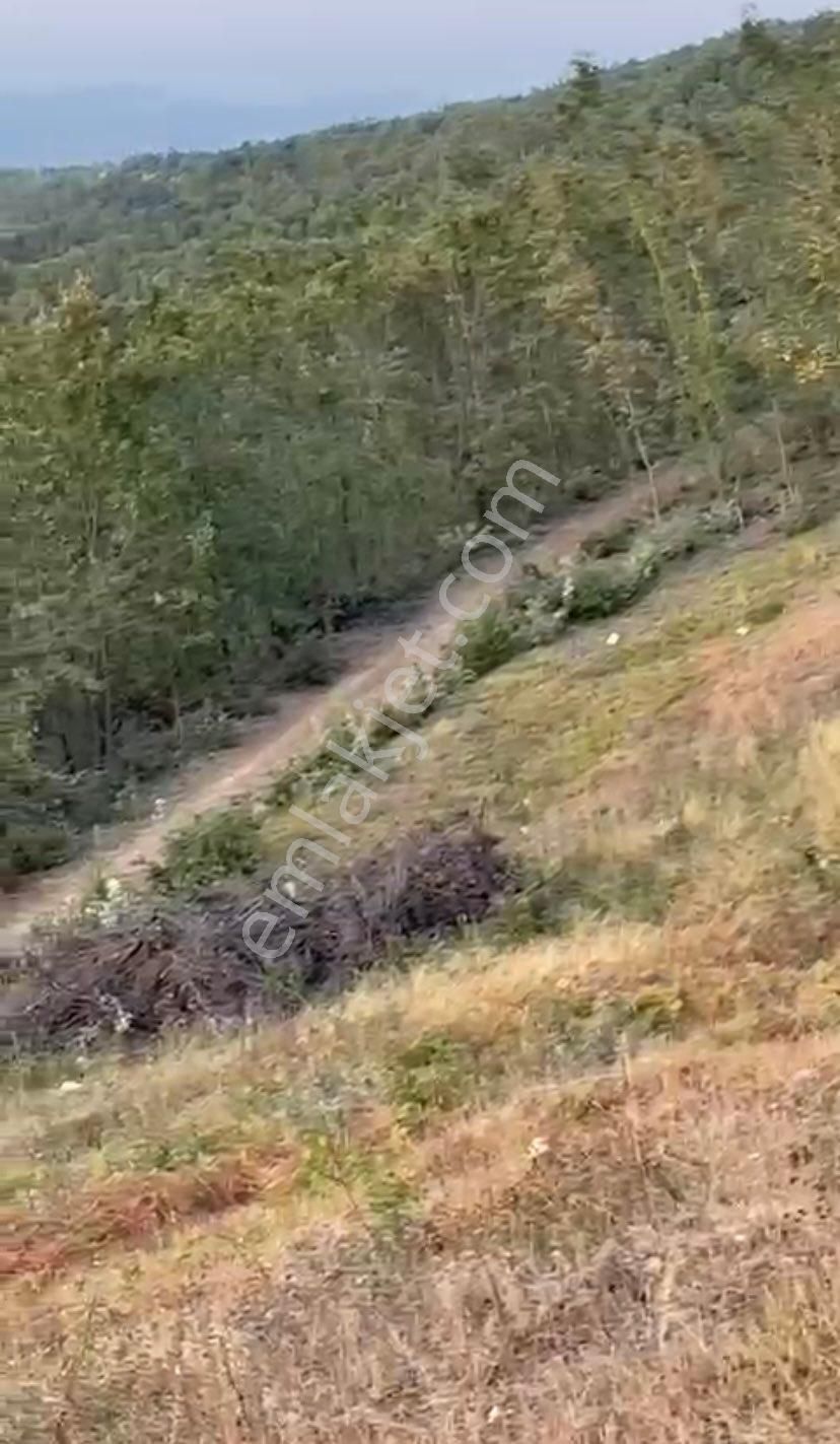 İsminar Yılmaz Dan Nilüfer İlçesi Ayva Köyünde Satılık Tarlalar - Görsel 13