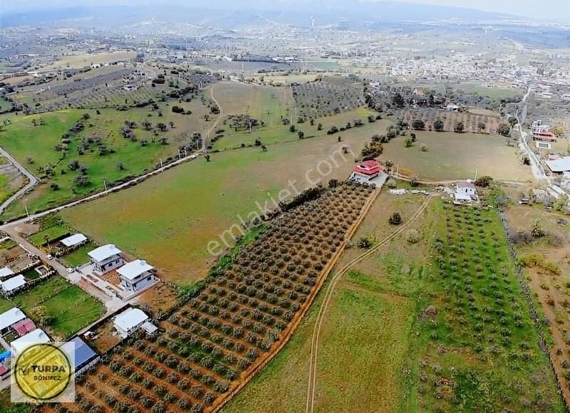 Turpa Sönmezden Dereköyde Satılık Harika Konumda Tarla - Görsel 5