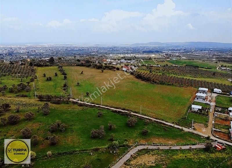 Turpa Sönmezden Dereköyde Satılık Harika Konumda Tarla - Görsel 8
