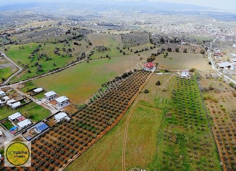 Turpa Sönmezden Dereköyde Satılık Harika Konumda Tarla - Görsel 3