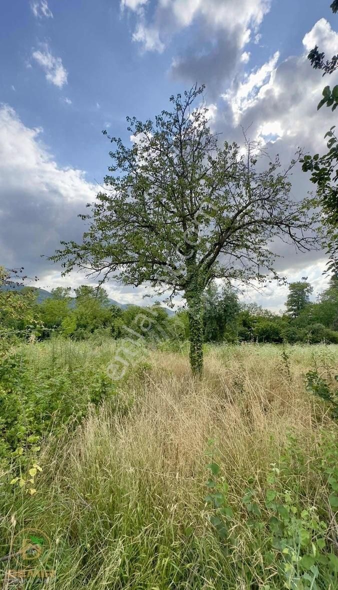 Kartepe Şirinsulhiye'de 4717m2 Satılık Arsa