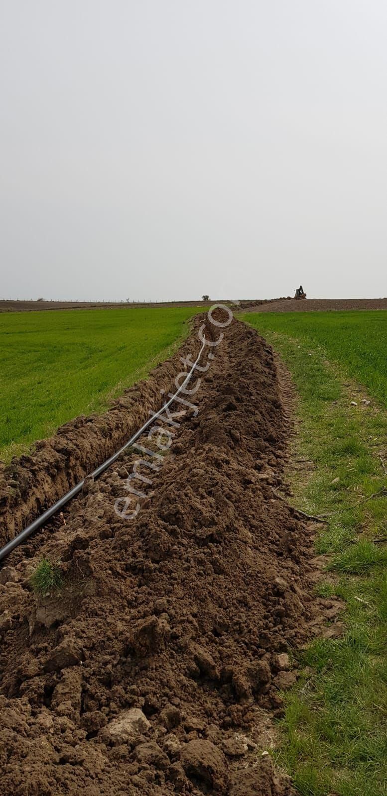 Kırklareli Merkezkayalıköyünde Satılık Ceviz Bahçesi - Görsel 2