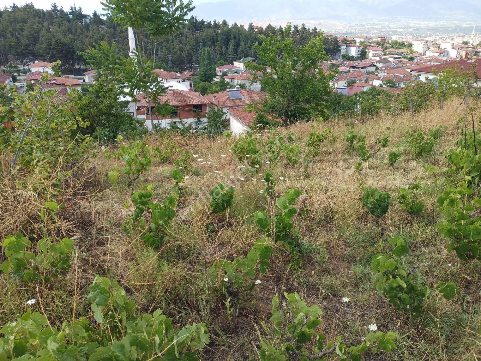 Satılık 718 M2 İmarlı Müstakil Arsa