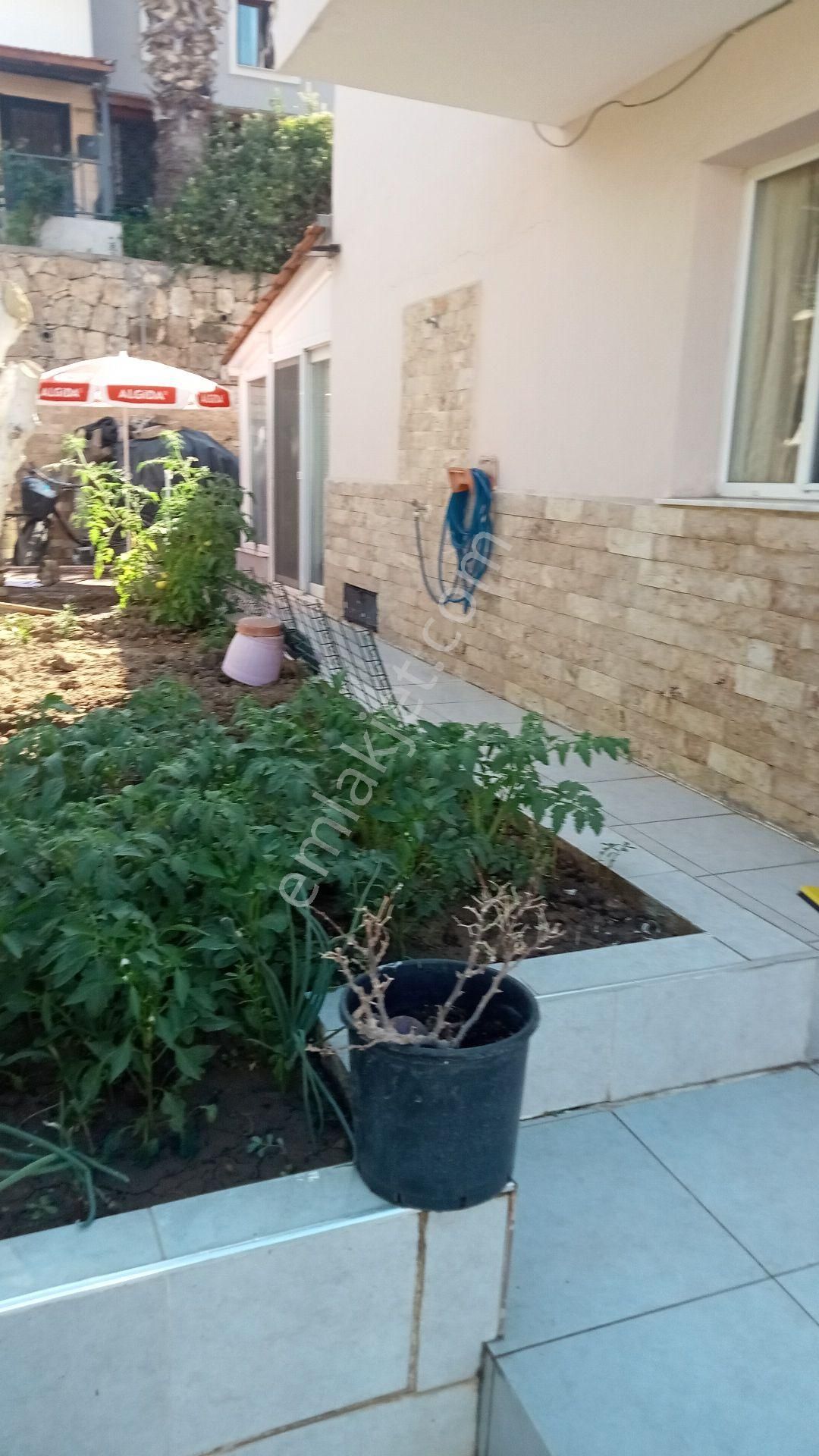 Kiralık İzmir 30 Dakika Foça Ya 5 Dakika Aliağa 15 Dakika Uzaklıkta Dır