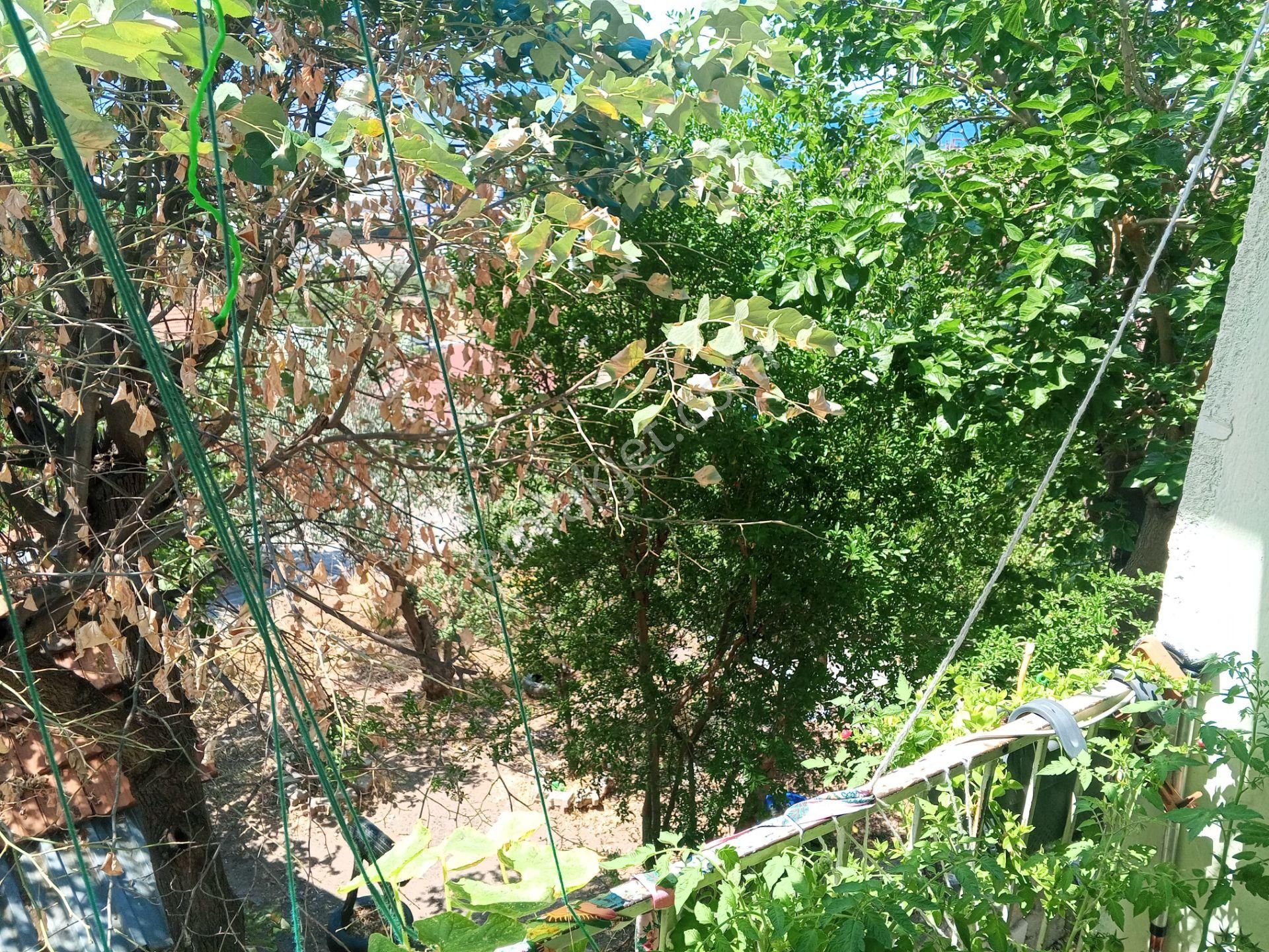 Körfez Atalar Da Satılık Müstakil Ev - Görsel 7