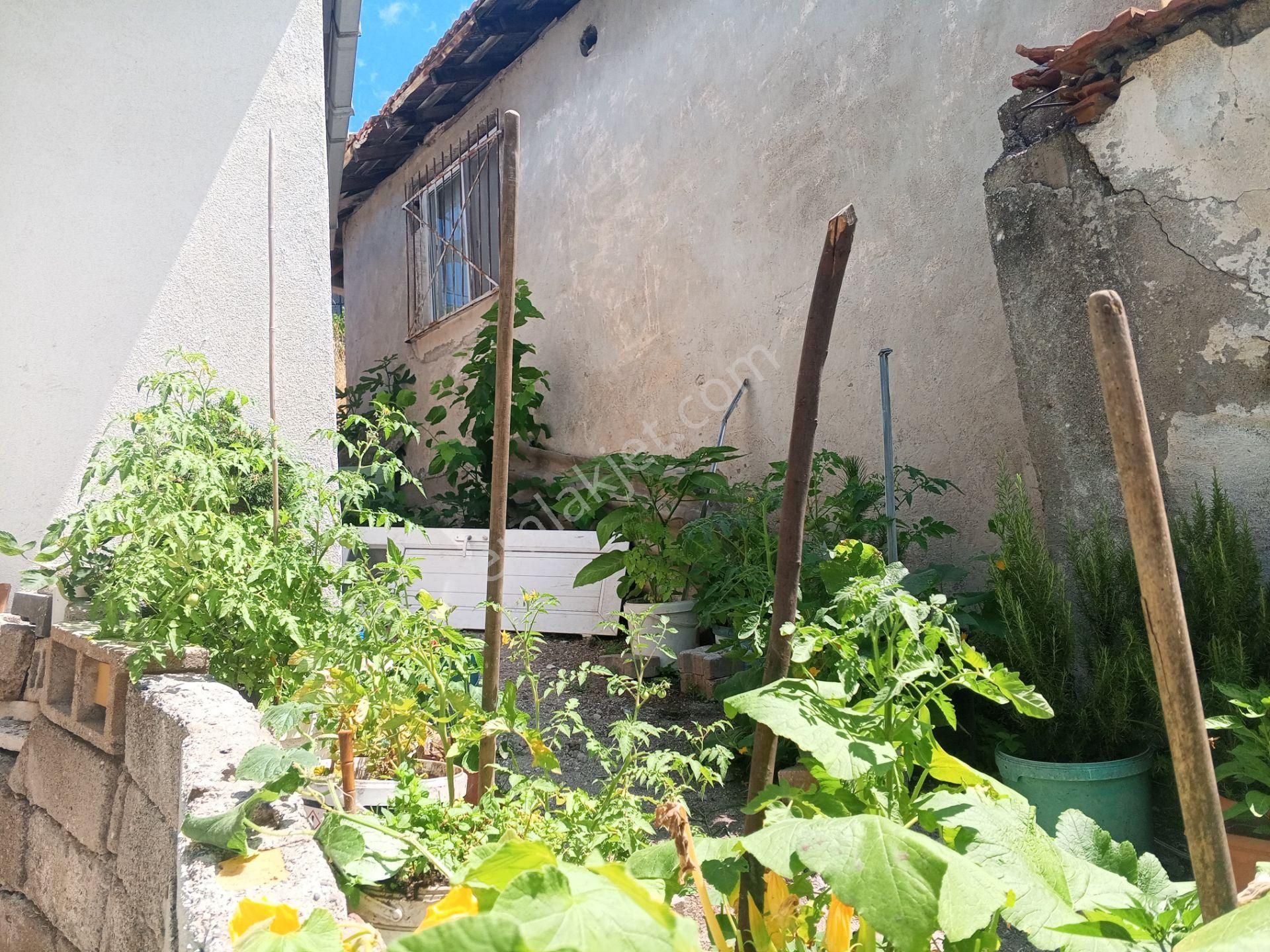 Körfez Atalar Da Satılık Müstakil Ev - Görsel 12