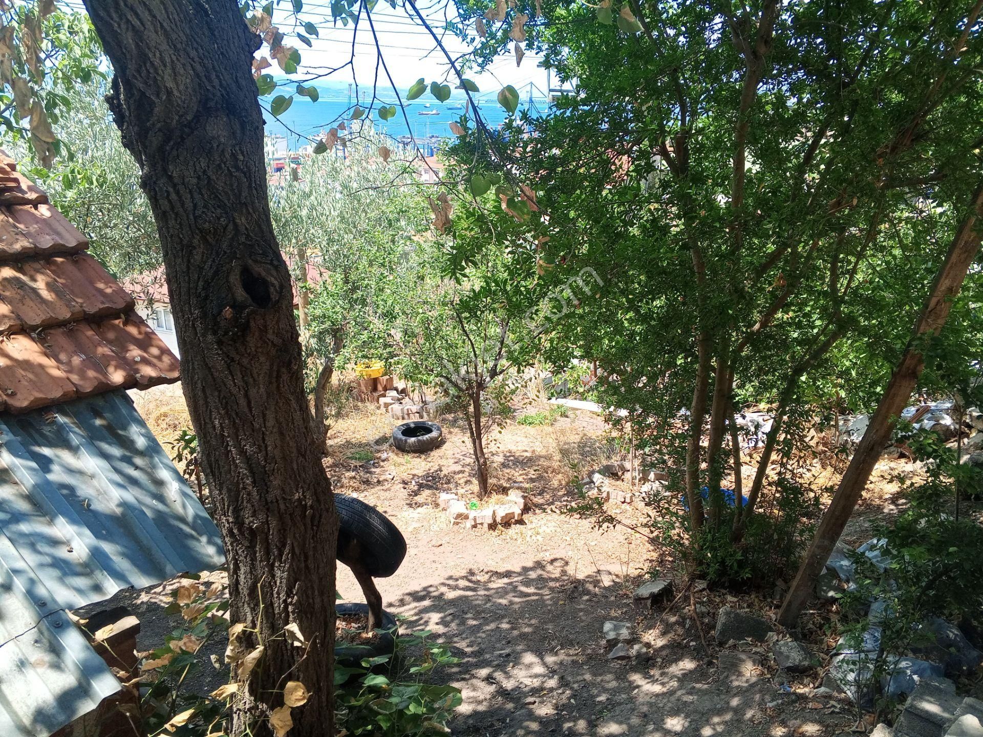 Körfez Atalar Da Satılık Müstakil Ev - Görsel 14