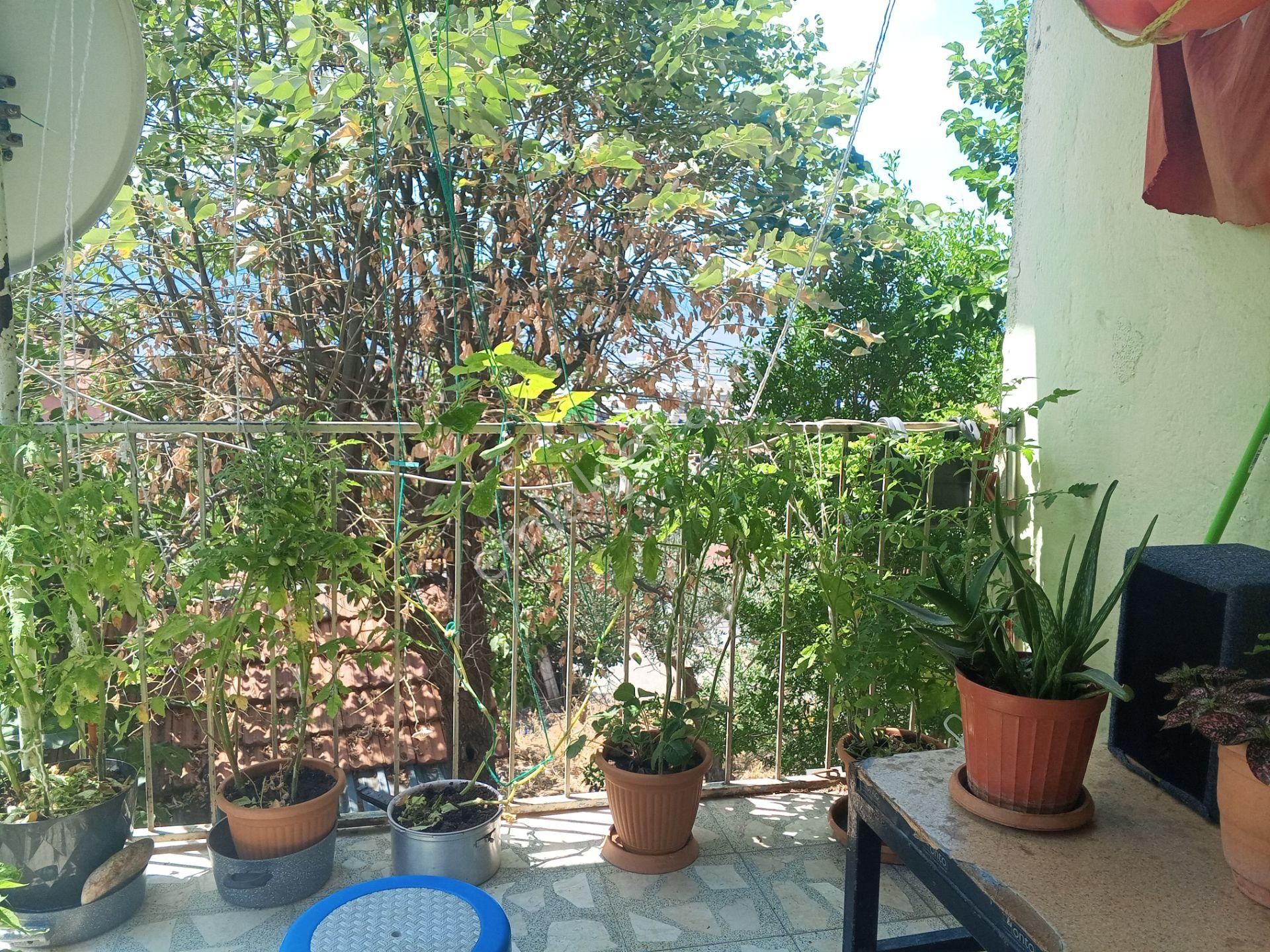 Körfez Atalar Da Satılık Müstakil Ev - Görsel 10