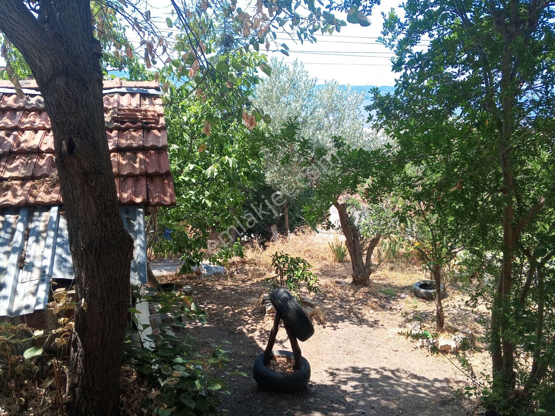 Körfez Atalar Da Satılık Müstakil Ev - Görsel 16