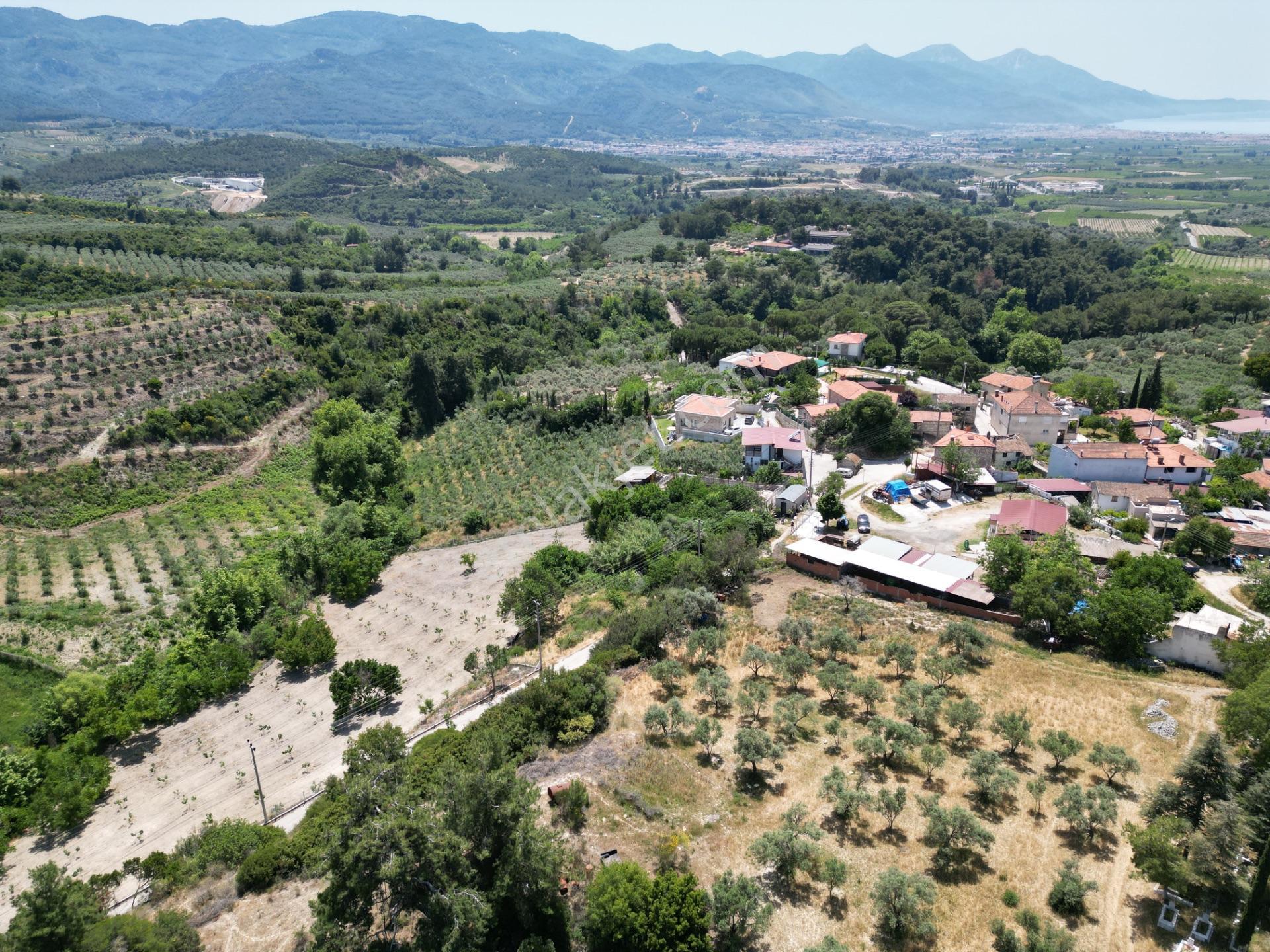 Caferli Köy İçi İmarlı Çiy Restoran Arkası 1300m2 Satılık Arsa - Görsel 2