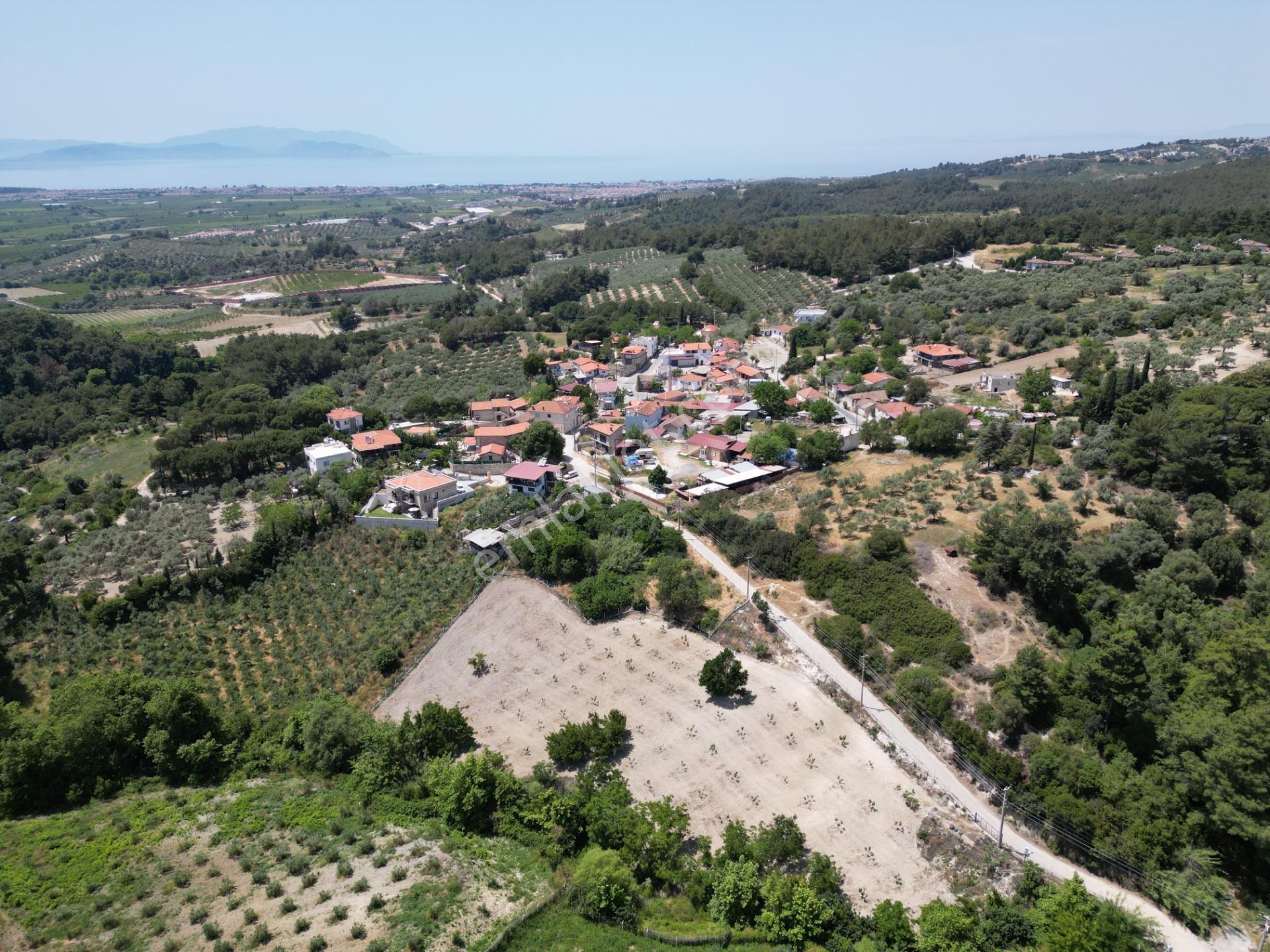 Caferli Köy İçi İmarlı Çiy Restoran Arkası 1300m2 Satılık Arsa - Görsel 4