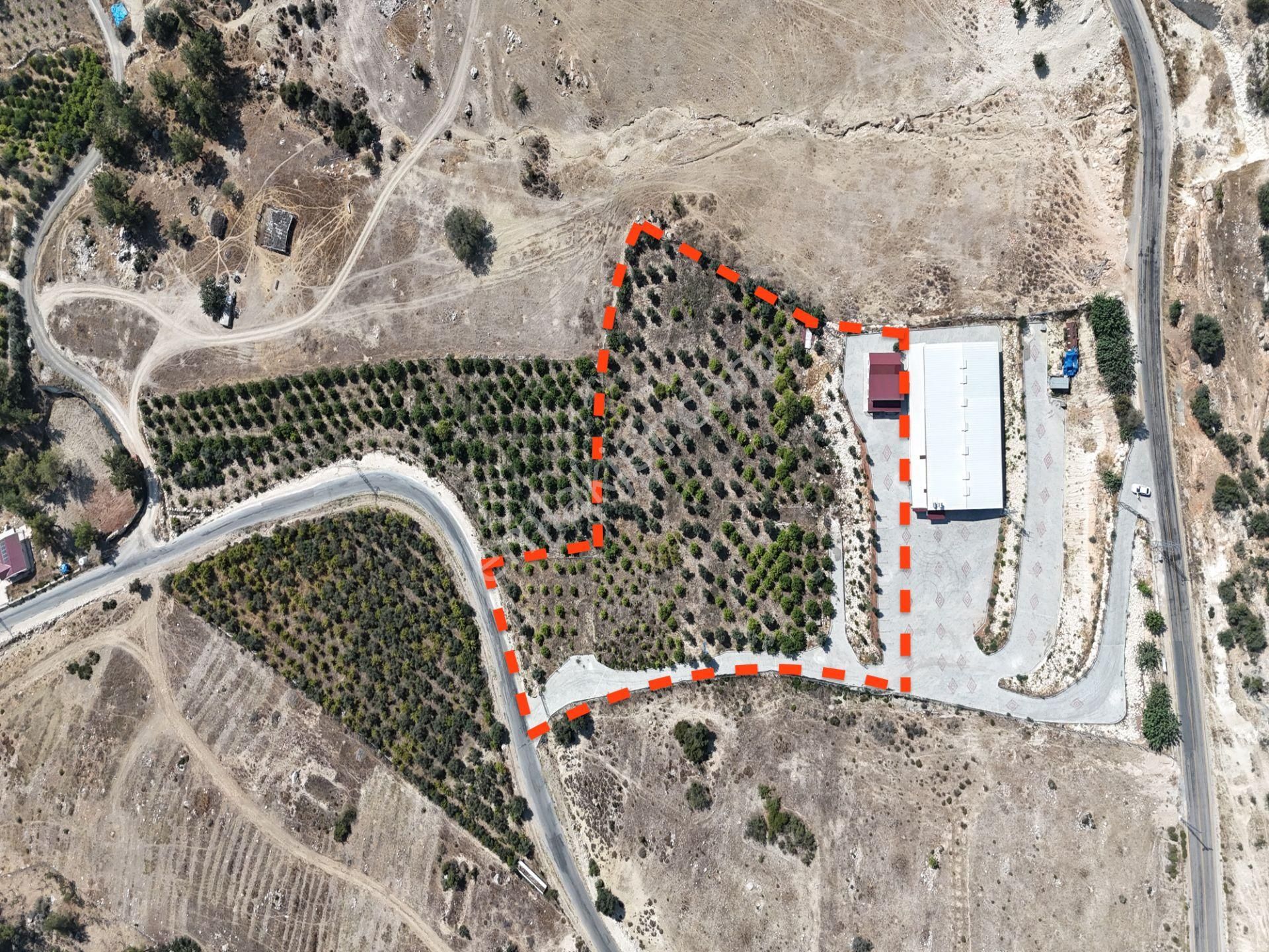 ░_*arcıty*_░den Y.şehir Değirmençay *9452m² Zeytinlik+2 Katlı Ev