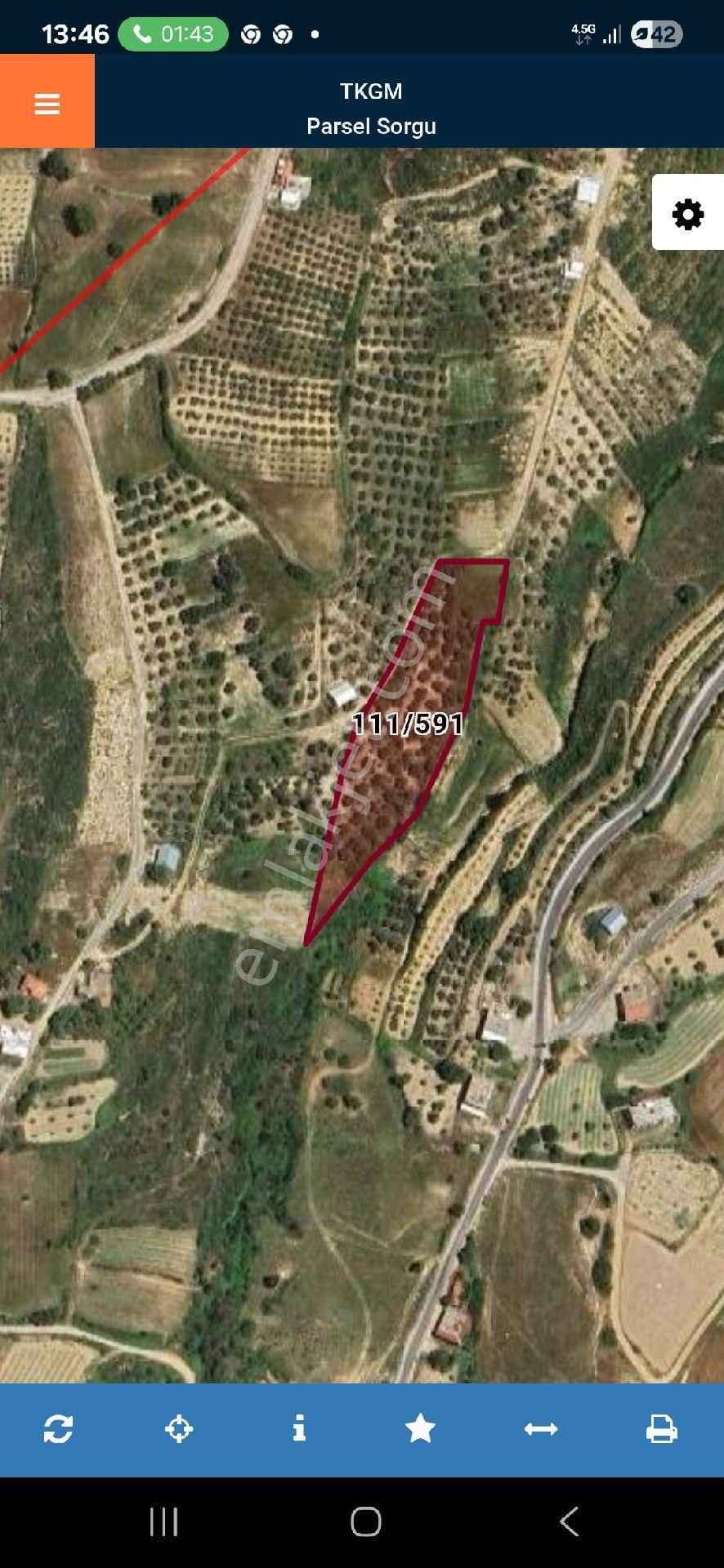 Aksaz Köyün De Satılık 6925m2 Zeytin Bahçesi