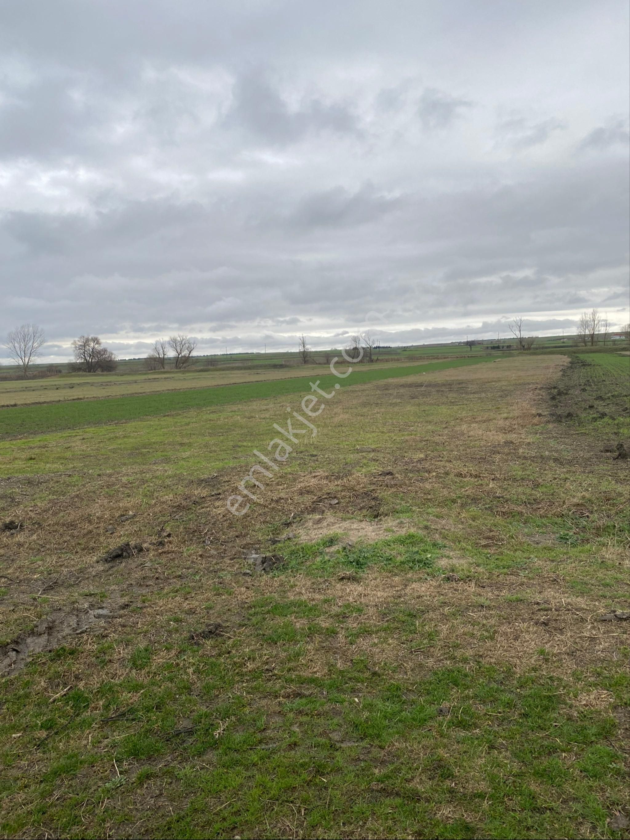 Tekirdağ Saray Beyazköy 187 Metre Hisseli Tarla