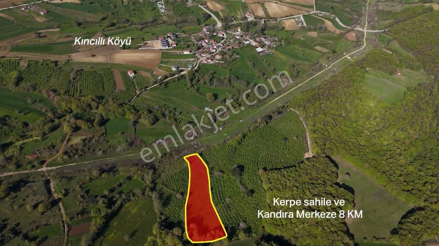 Kerpe'de 7 Dönüm Yatırımlık Tarla İstanbula Yakın Mesafe - Görsel 7