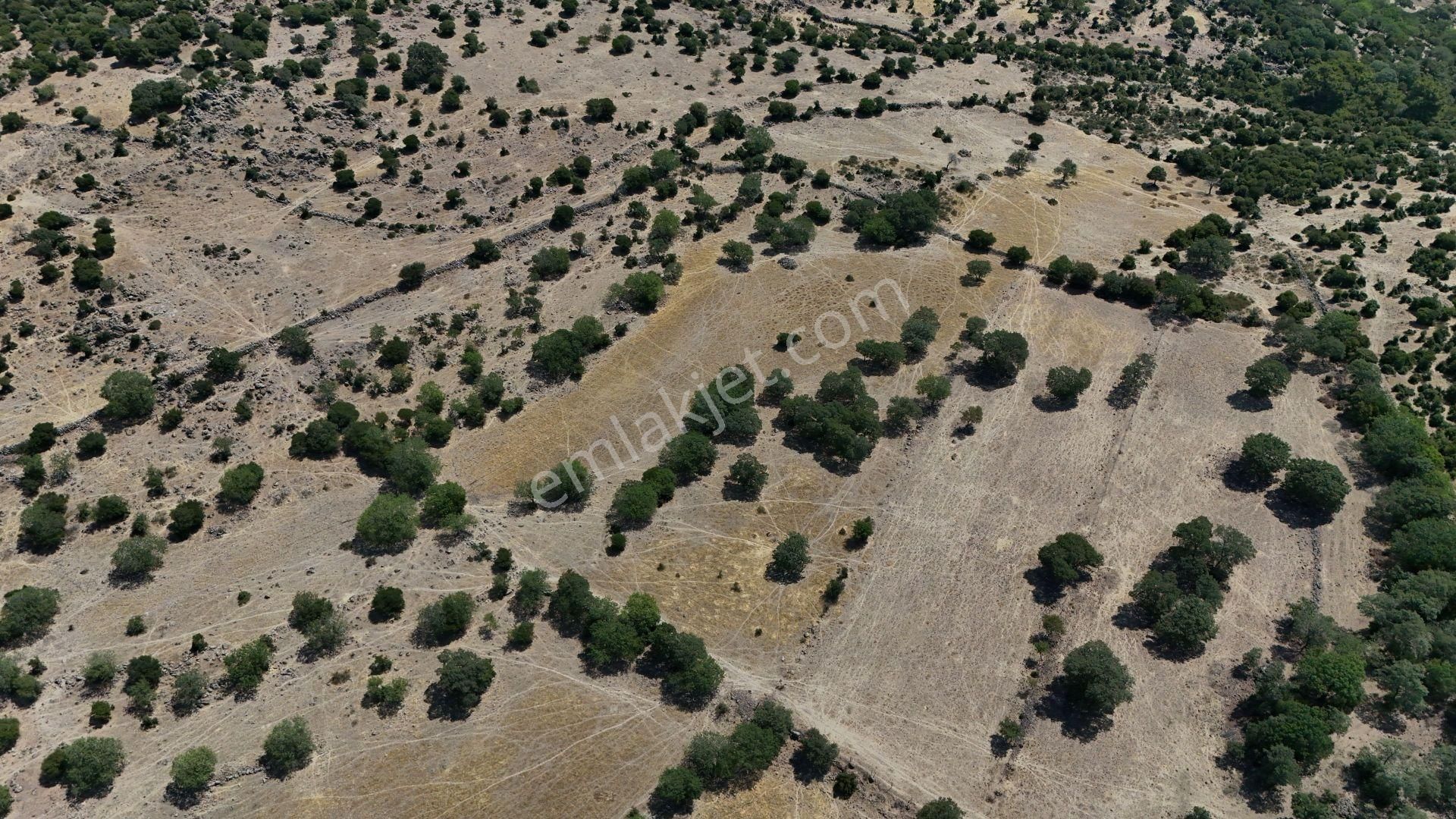 İzmir Dikili Demirtaşta 13.593 M² Yatırımlık Tarla Pazarlıklı - Görsel 3