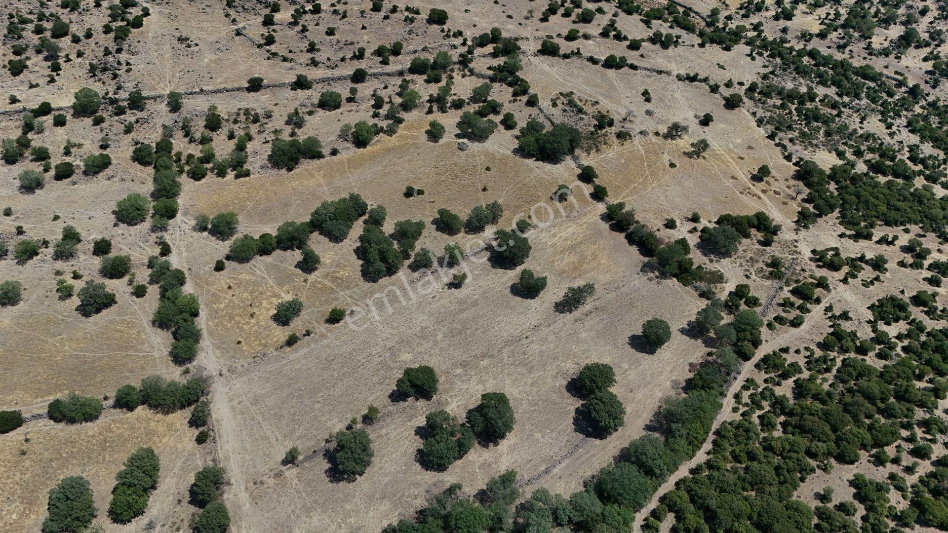 İzmir Dikili Demirtaşta 13.593 M² Yatırımlık Tarla Pazarlıklı - Görsel 7