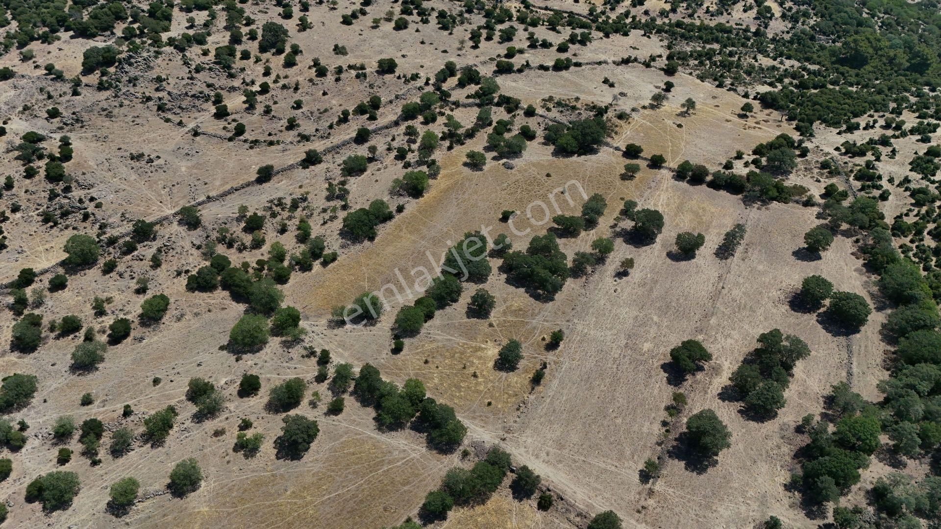 İzmir Dikili Demirtaşta 13.593 M² Yatırımlık Tarla Pazarlıklı - Görsel 4