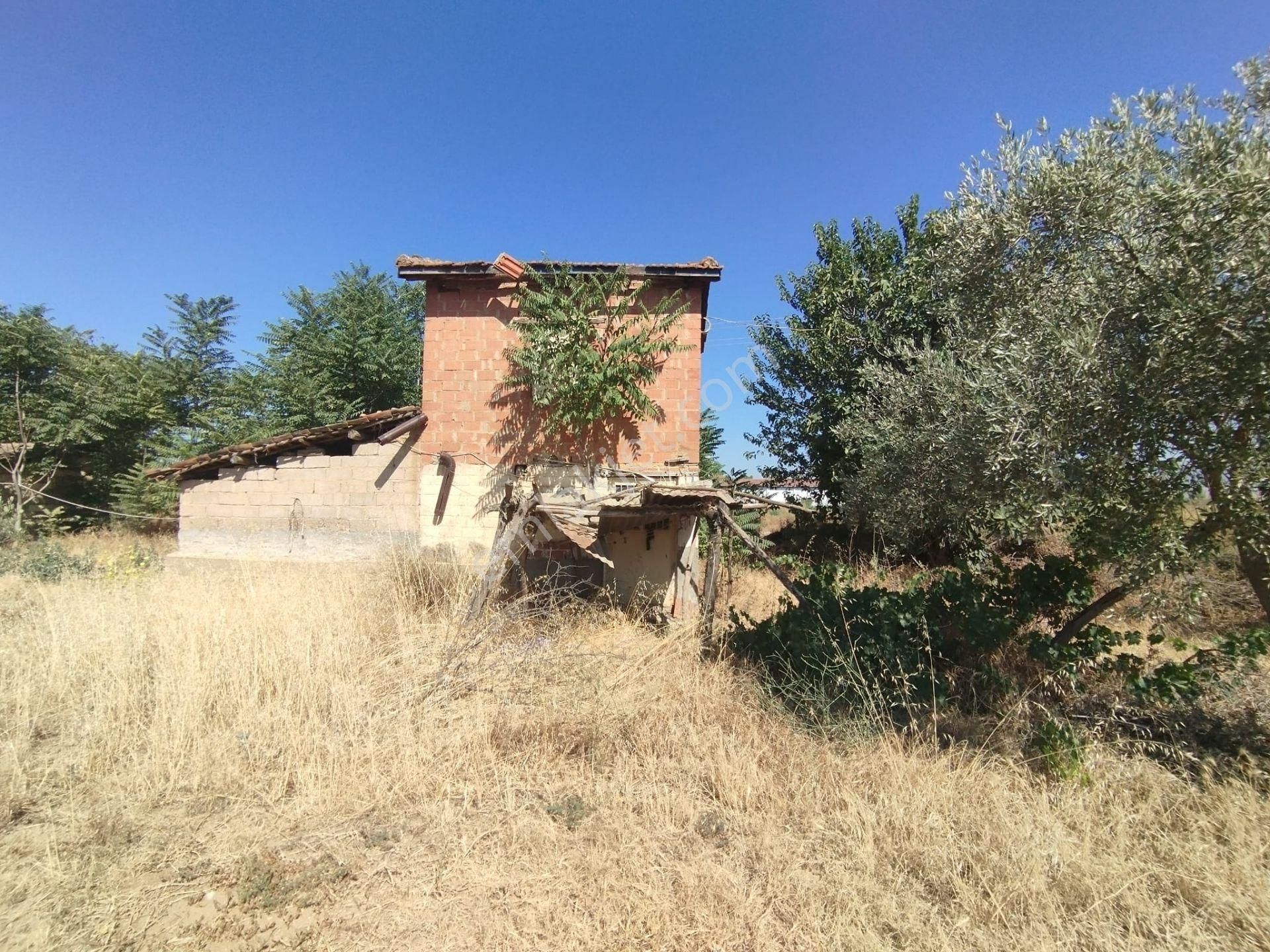 Antika'dan Çaylı Mah. İçerisinde Evi Ve Damı Olan Kiralık İncir Bahçesi