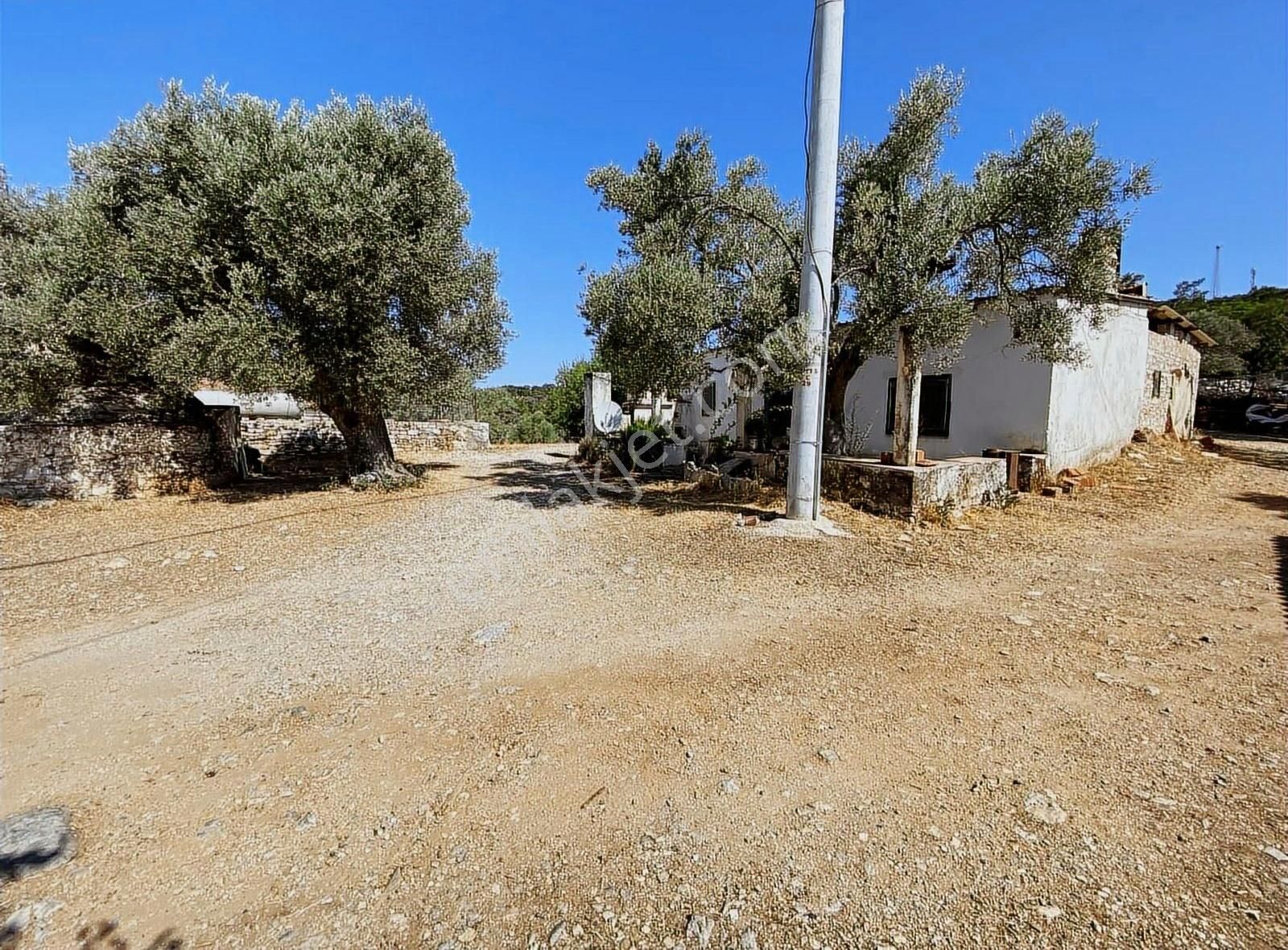 Bodrum Kızılağaç'ta Satılık Tek Tapu Kargir Köy Evi Ve Arsası - Görsel 13