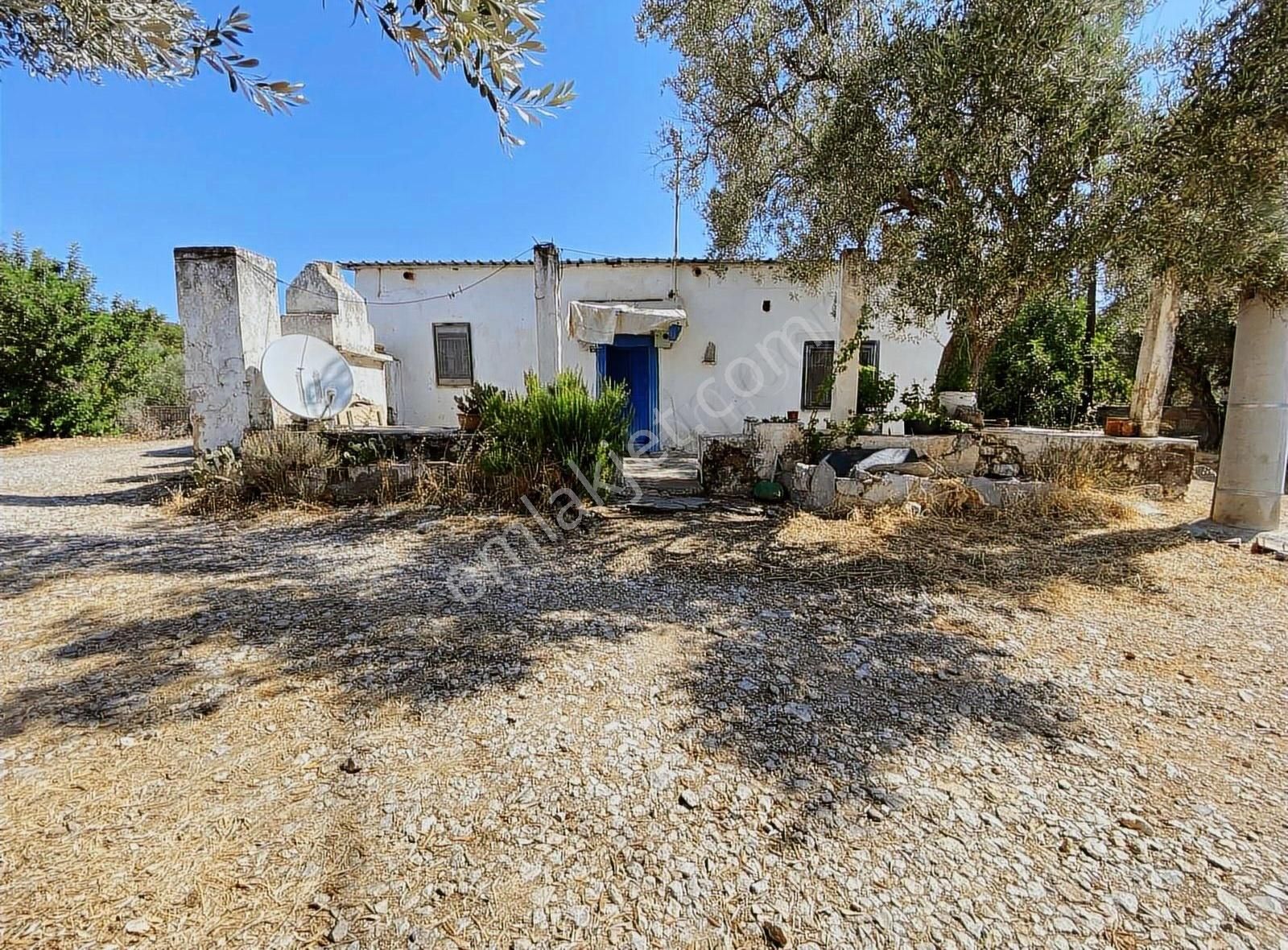 Bodrum Kızılağaç'ta Satılık Tek Tapu Kargir Köy Evi Ve Arsası - Görsel 9