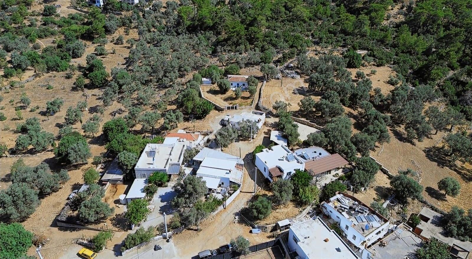 Bodrum Kızılağaç'ta Satılık Tek Tapu Kargir Köy Evi Ve Arsası - Görsel 11