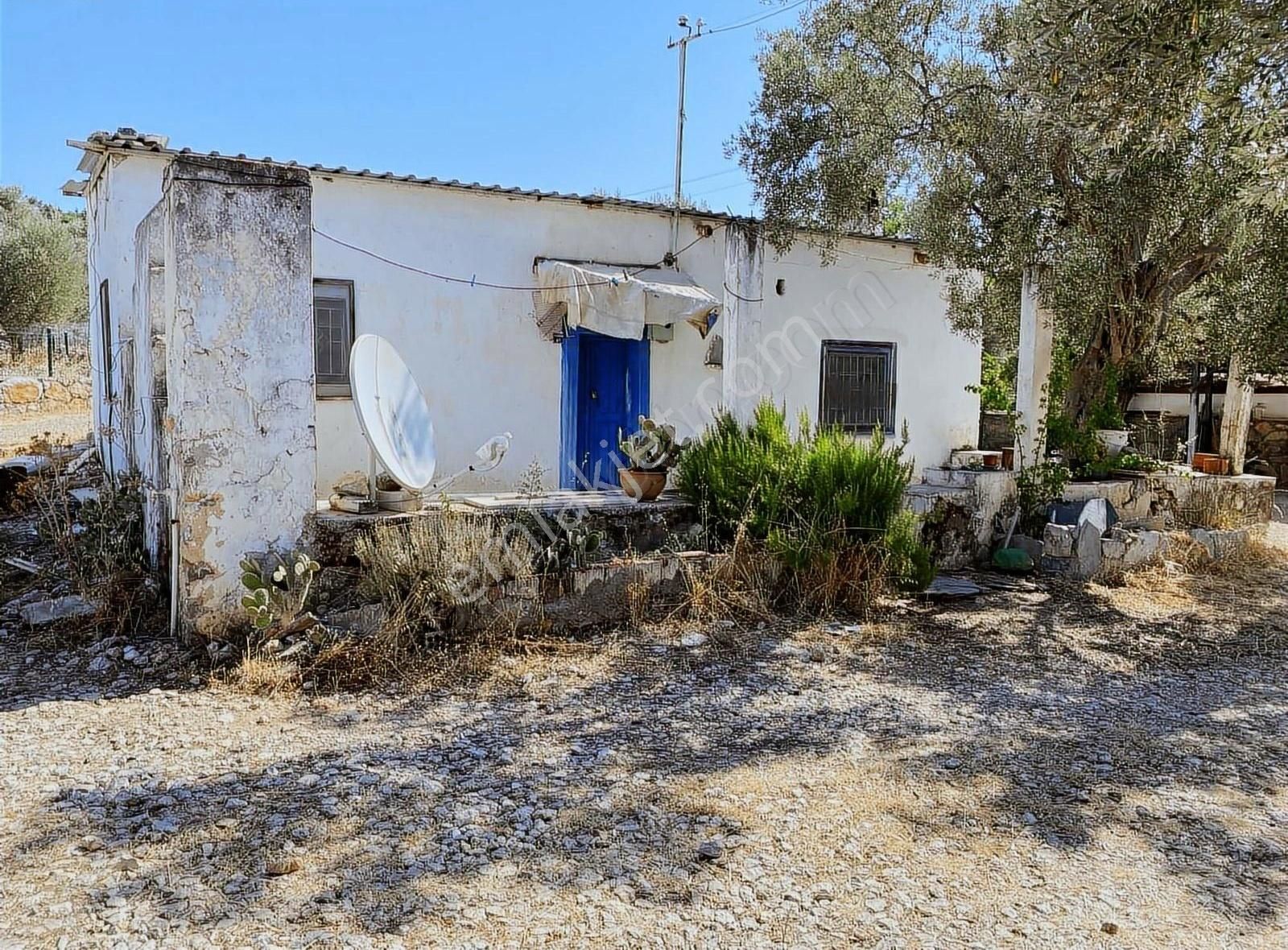 Bodrum Kızılağaç'ta Satılık Tek Tapu Kargir Köy Evi Ve Arsası - Görsel 8