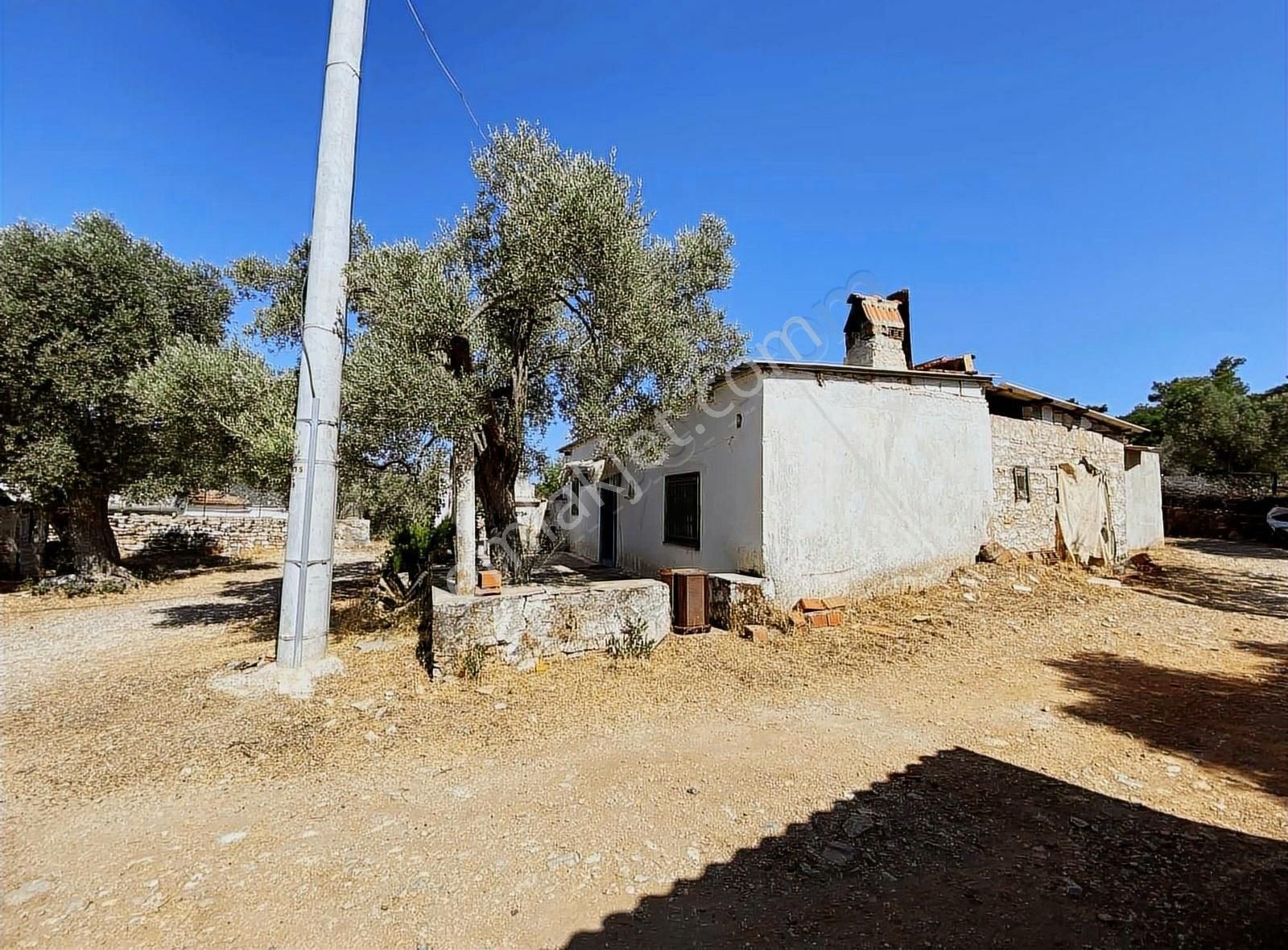Bodrum Kızılağaç'ta Satılık Tek Tapu Kargir Köy Evi Ve Arsası - Görsel 14