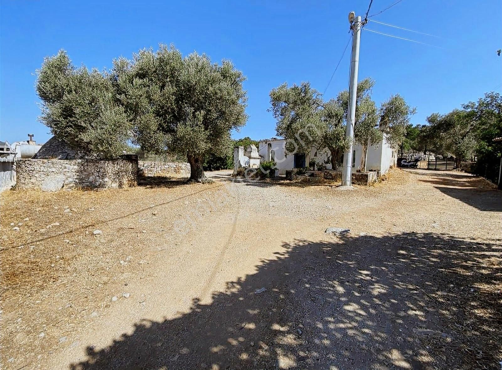 Bodrum Kızılağaç'ta Satılık Tek Tapu Kargir Köy Evi Ve Arsası - Görsel 15