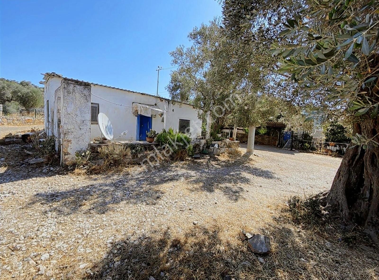 Bodrum Kızılağaç'ta Satılık Tek Tapu Kargir Köy Evi Ve Arsası - Görsel 12