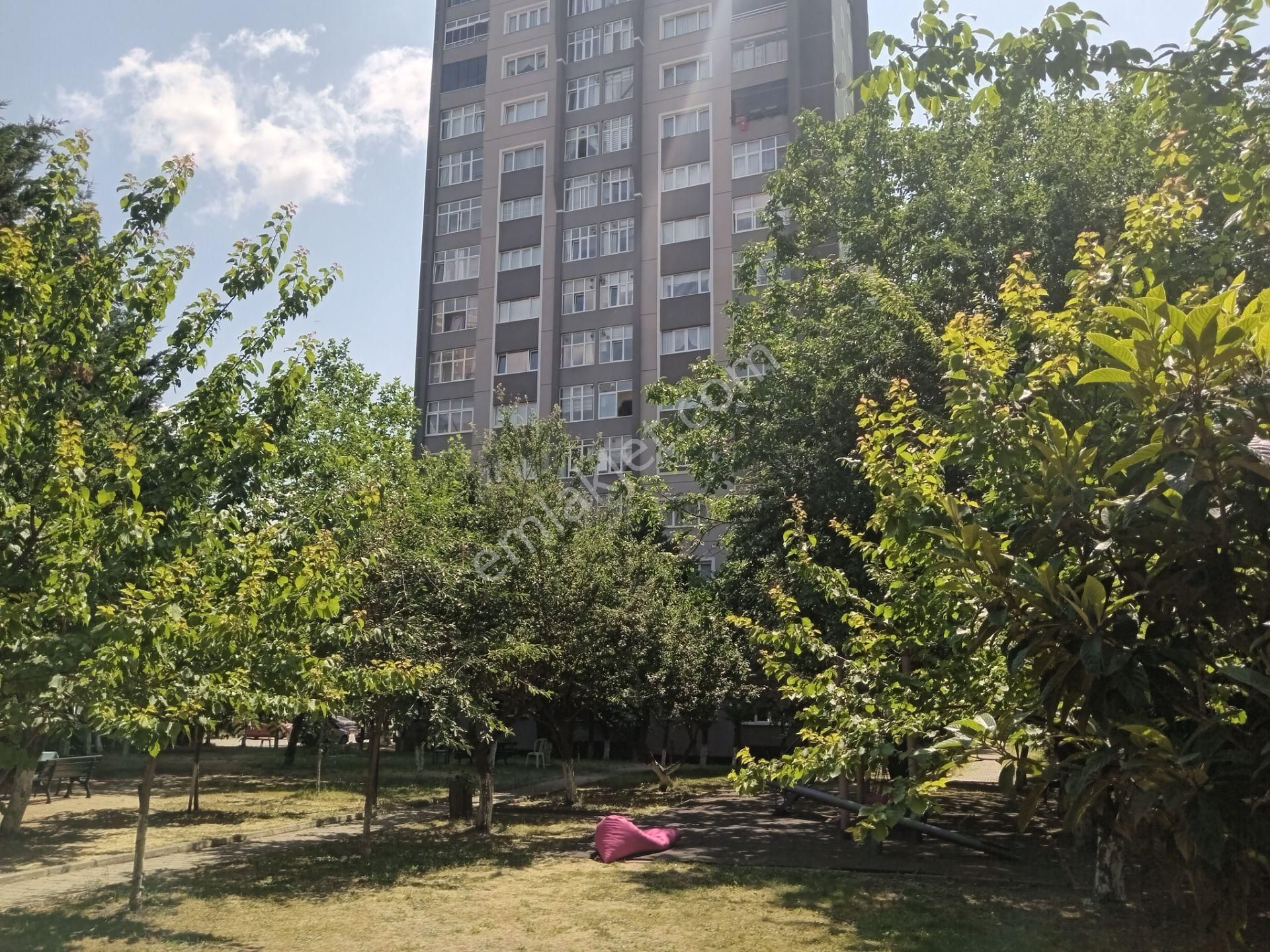 Sahibinden Metrobüse 5 Dk 3+1 Satılık Daire