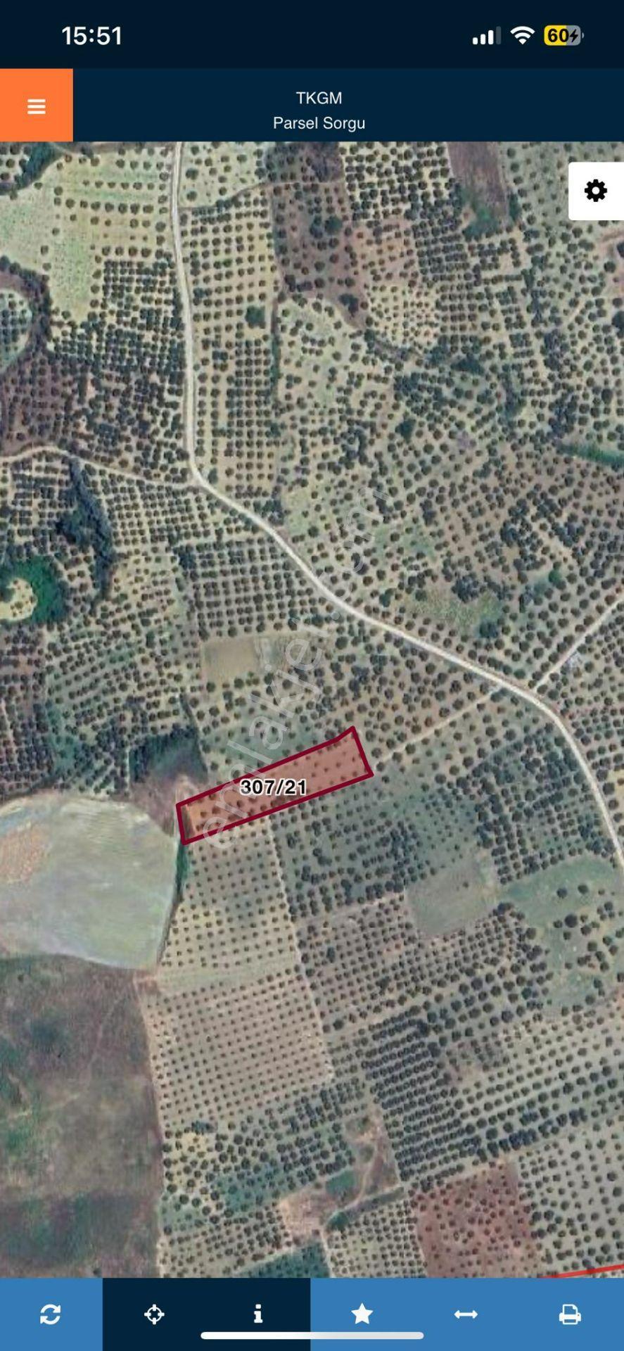 Tepeköy Mah. Muhteşem Deniz Ve Doğa Manzaralı Zeytinlik - Görsel 17