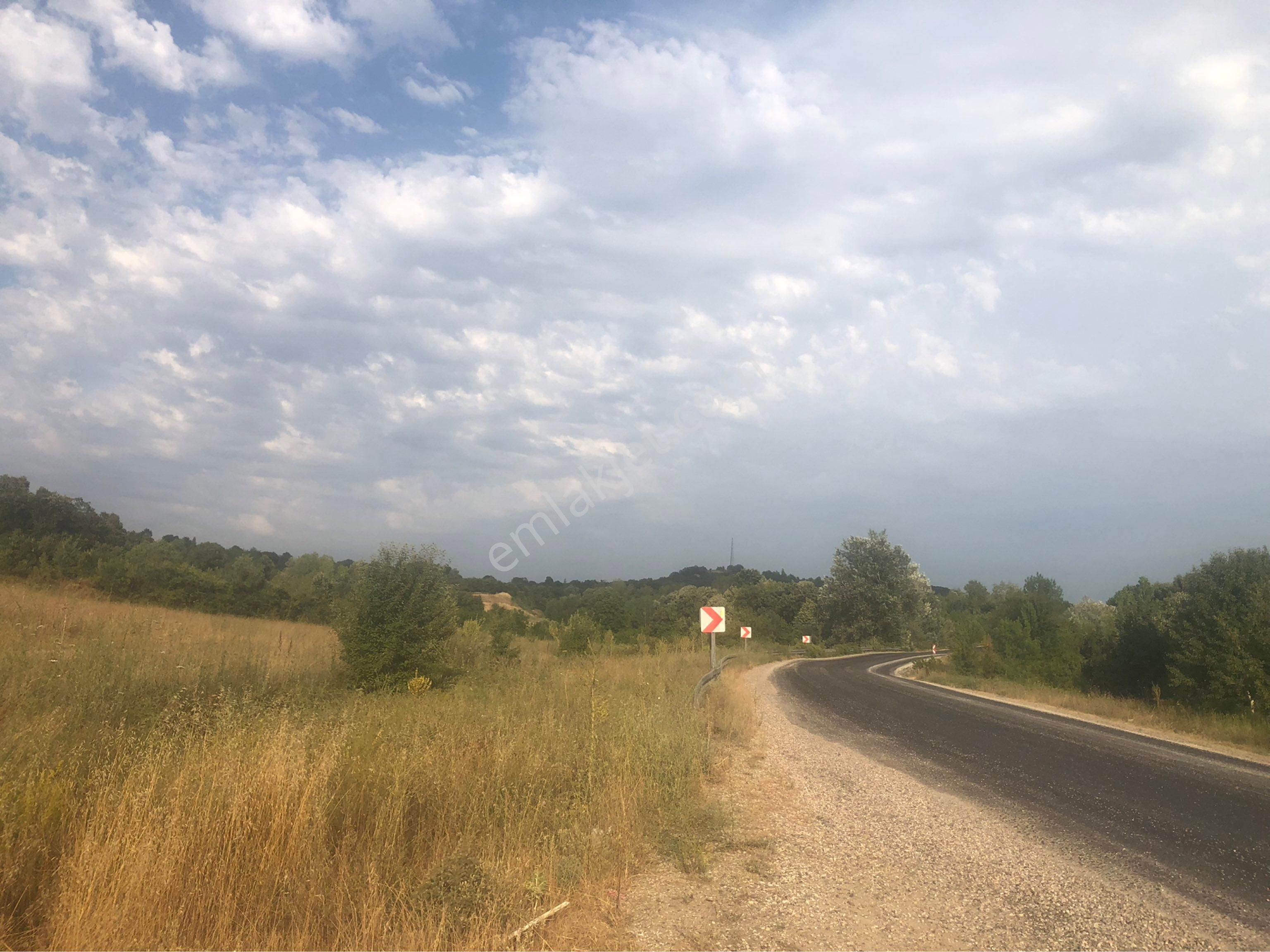 Bursa İnegöl Gündüzlü Asfalt Yola Cephe 20700 Metrekare Arazi - Görsel 13