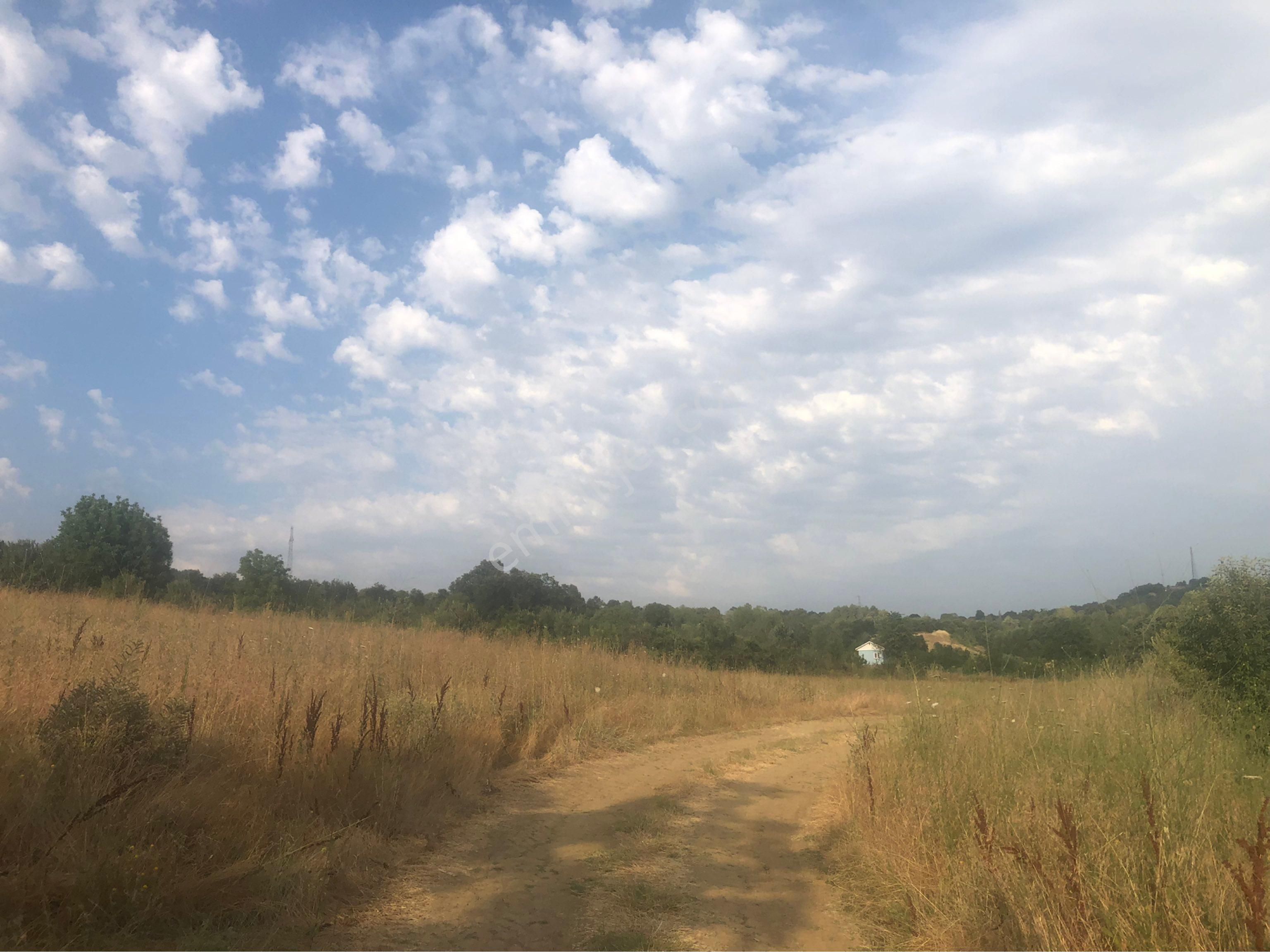 Bursa İnegöl Gündüzlü Asfalt Yola Cephe 20700 Metrekare Arazi - Görsel 6