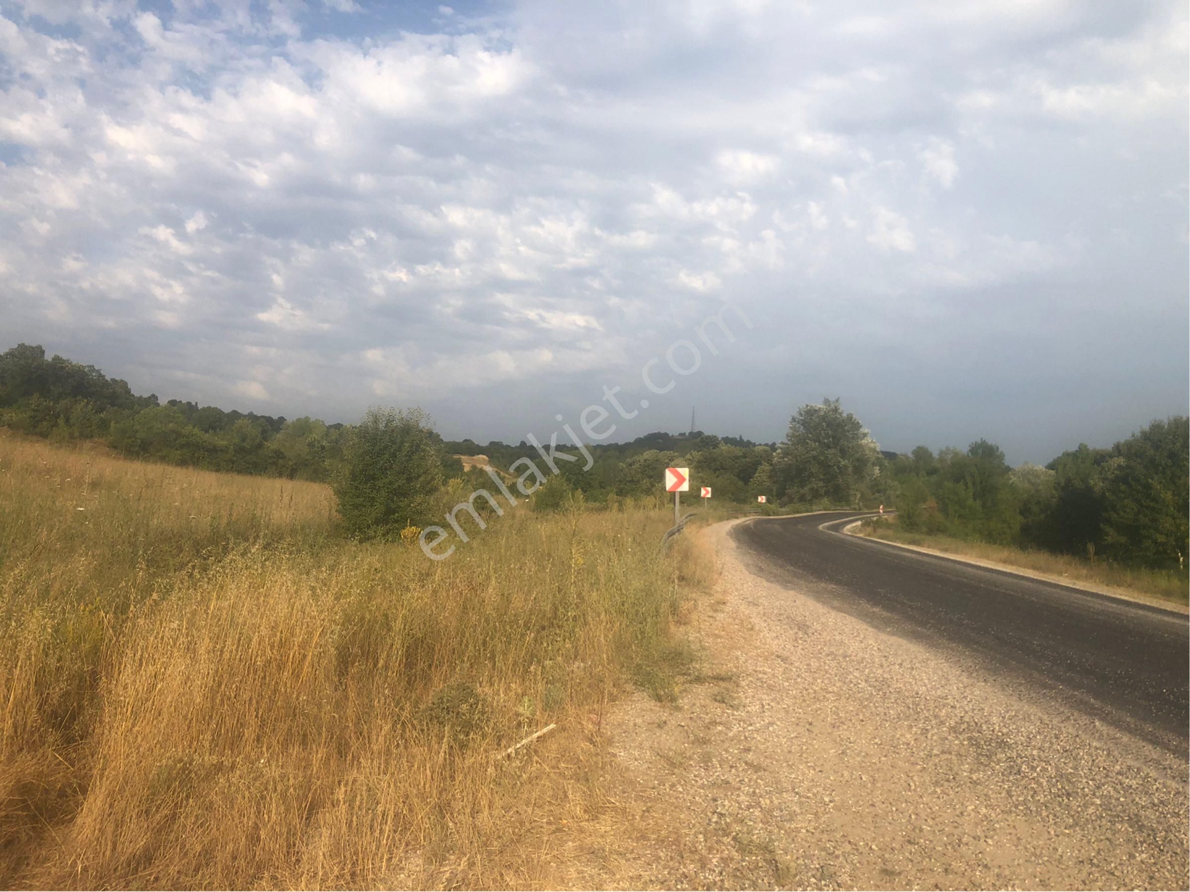 Bursa İnegöl Gündüzlü Asfalt Yola Cephe 20700 Metrekare Arazi - Görsel 11