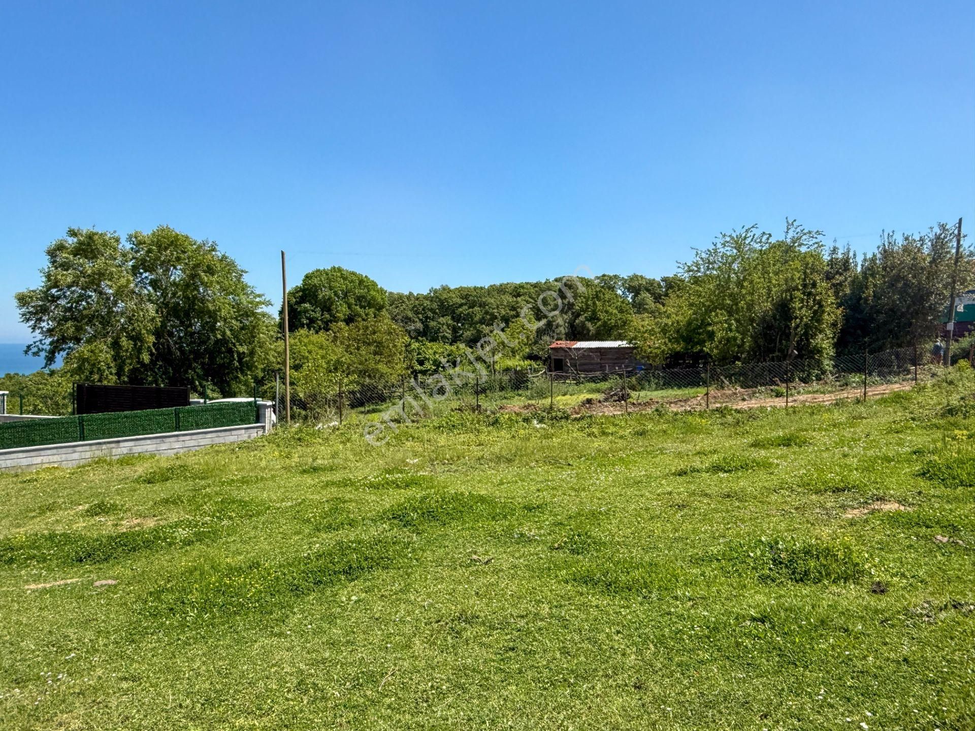 Şile Alacalı'da 1.786 M² Köy İçi Deniz Manzaralı Arsa !!! - Görsel 15